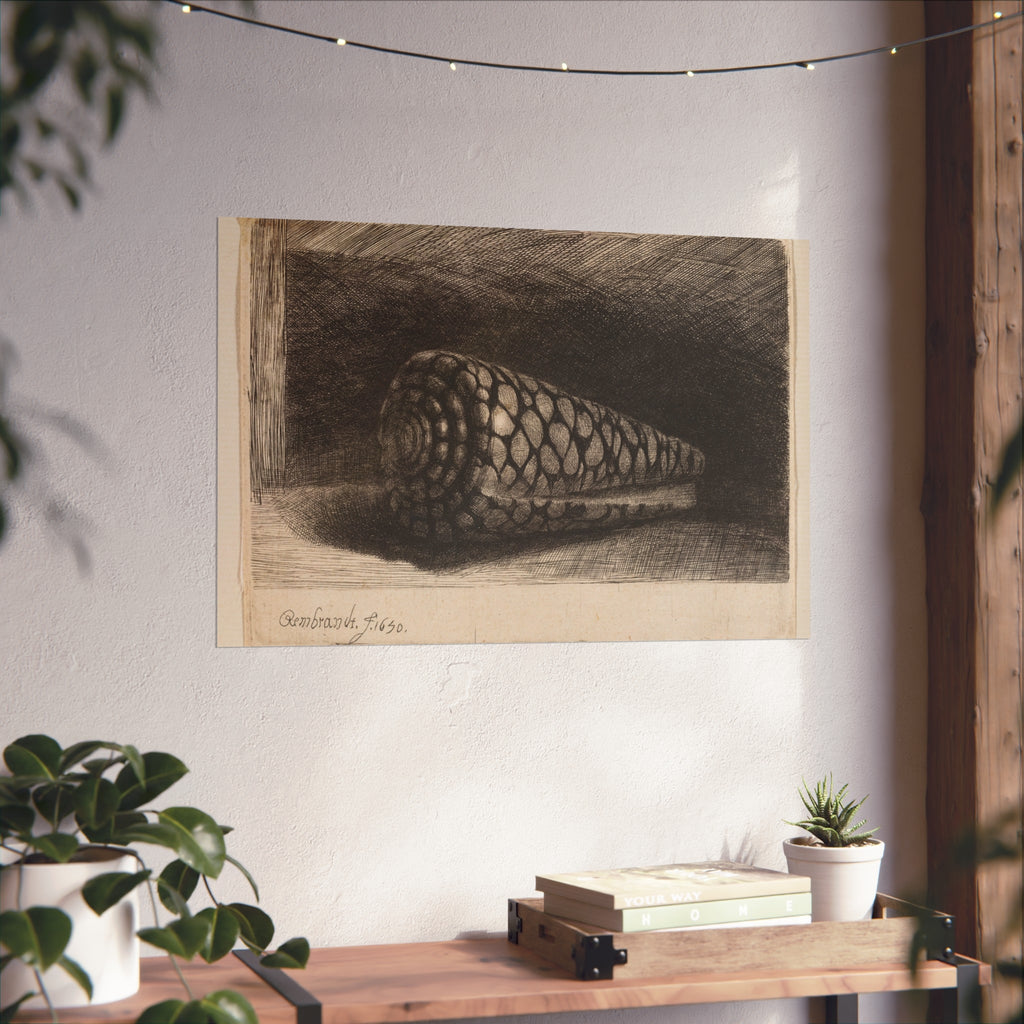Rembrandt van Rijn - The Shell | Fine Art Poster