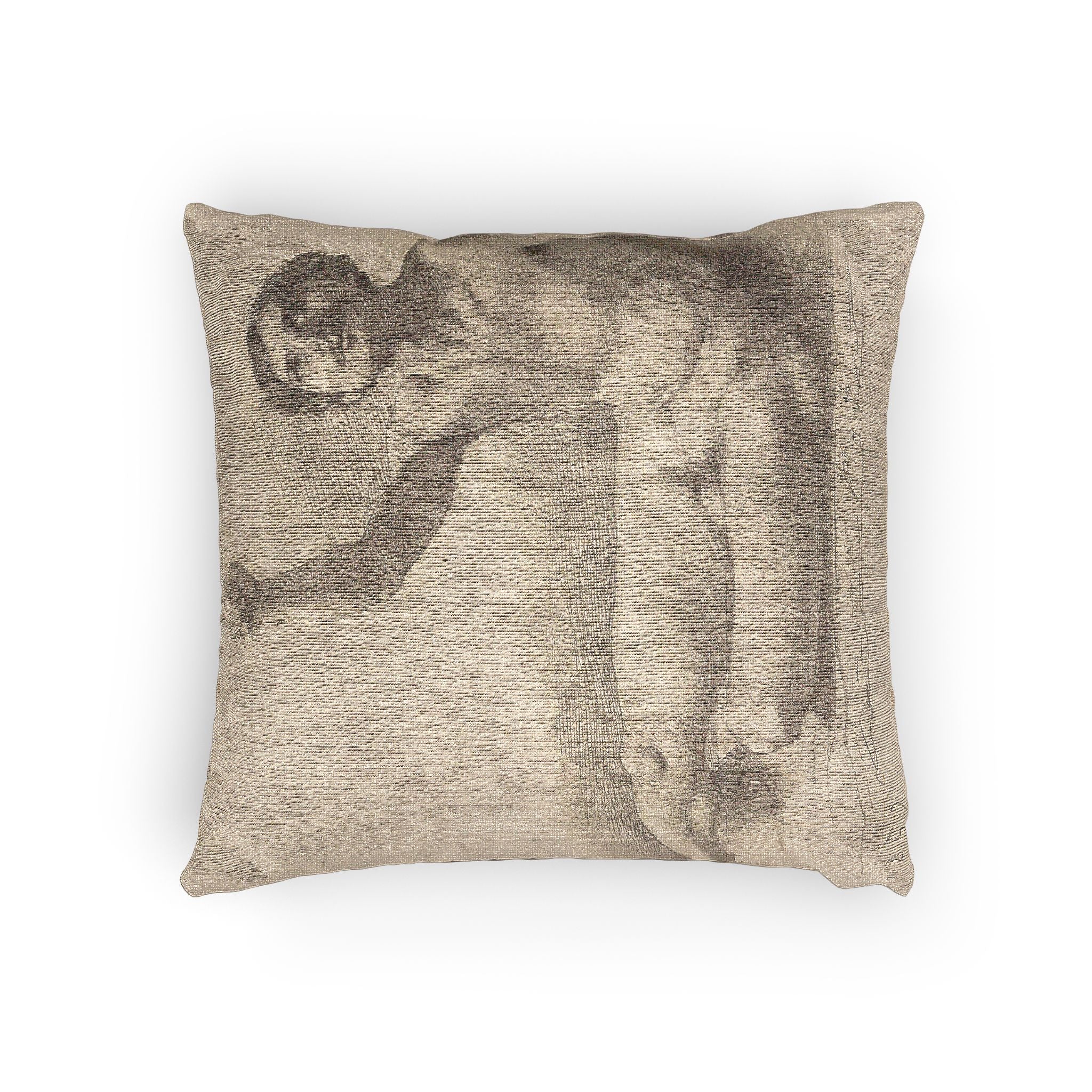 Hilaire Germain Edgar Degas - Study of a Male Nude | Woven Pillow