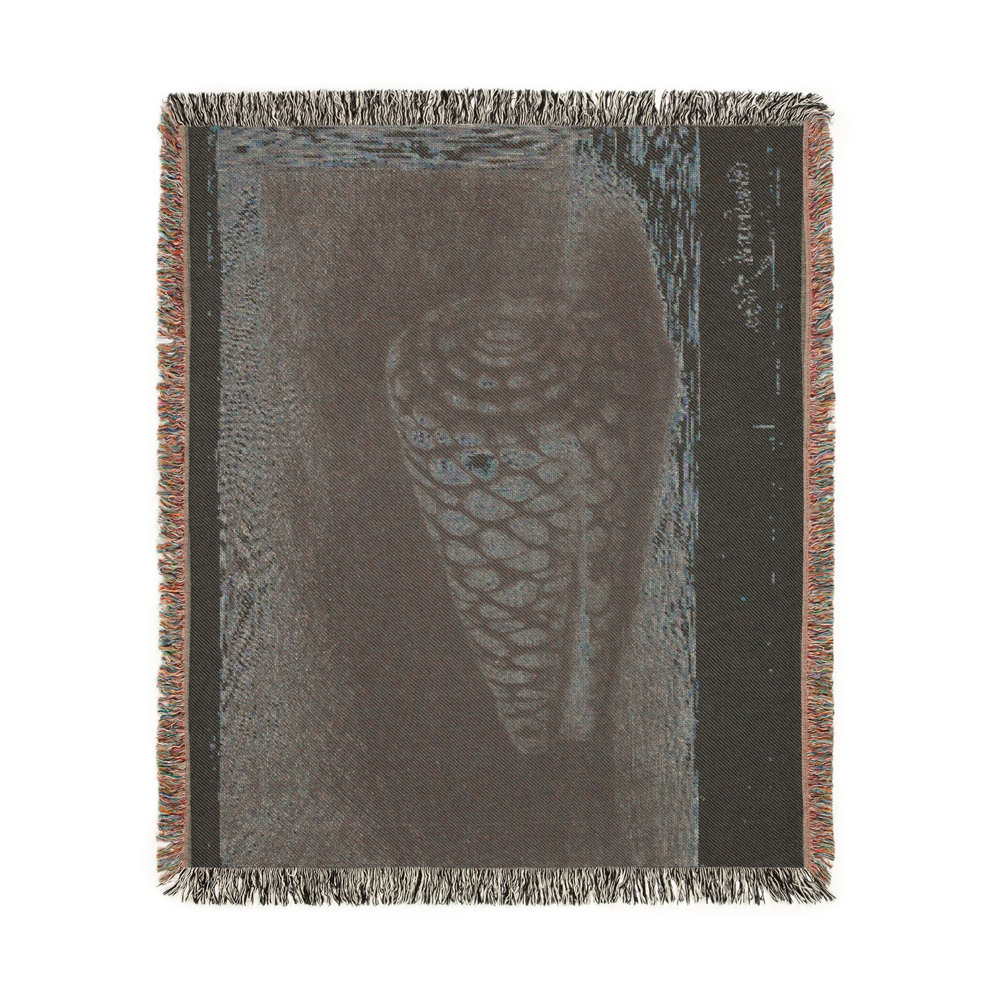 Rembrandt van Rijn - The Shell | Woven Tapestry Blanket