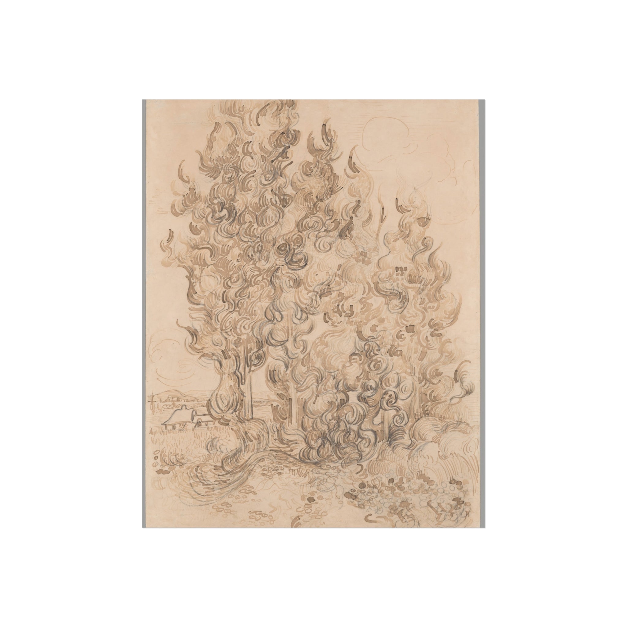 Vincent van Gogh - Cypresses | Fine Art Poster