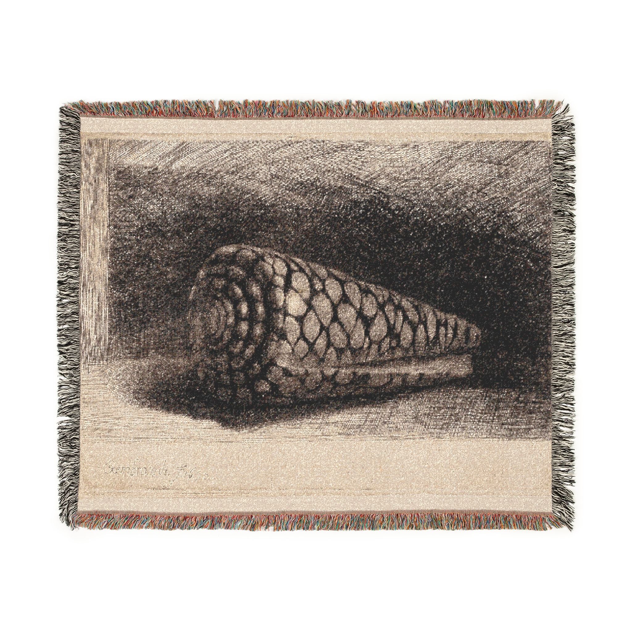 Rembrandt van Rijn - The Shell | Woven Tapestry Blanket
