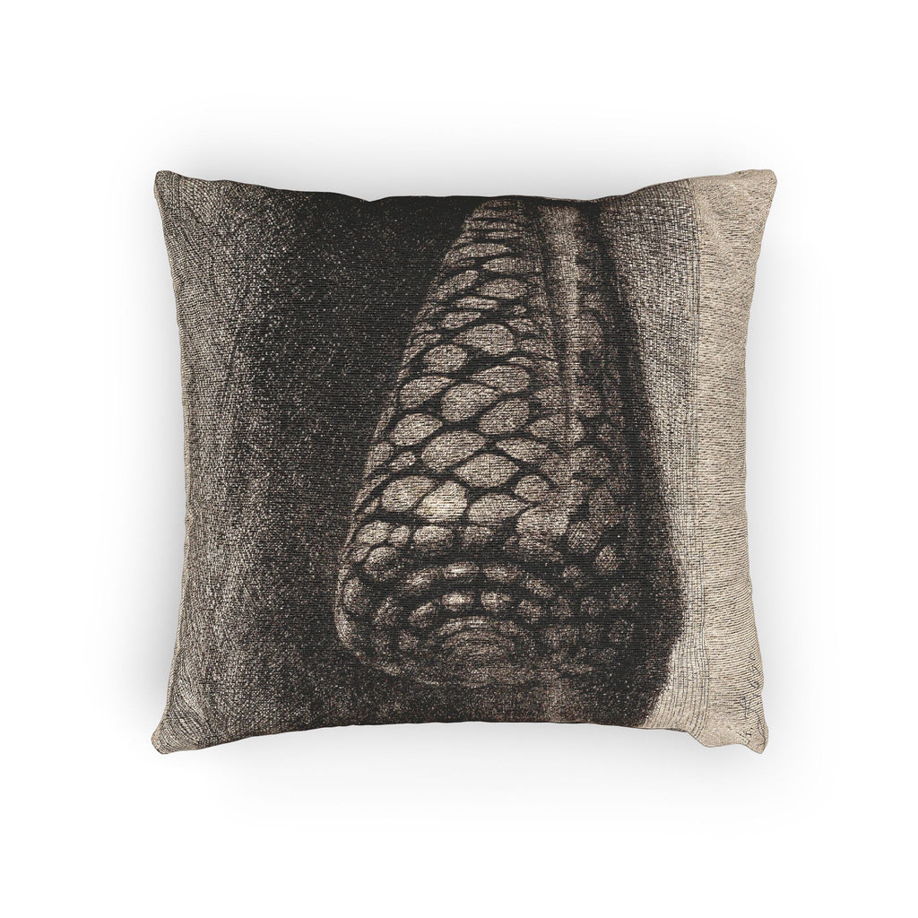 Rembrandt van Rijn - The Shell | Woven Pillow