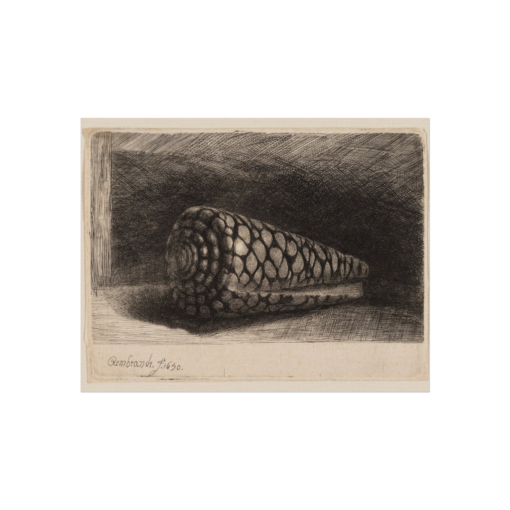 Rembrandt van Rijn - The Shell | Fine Art Poster