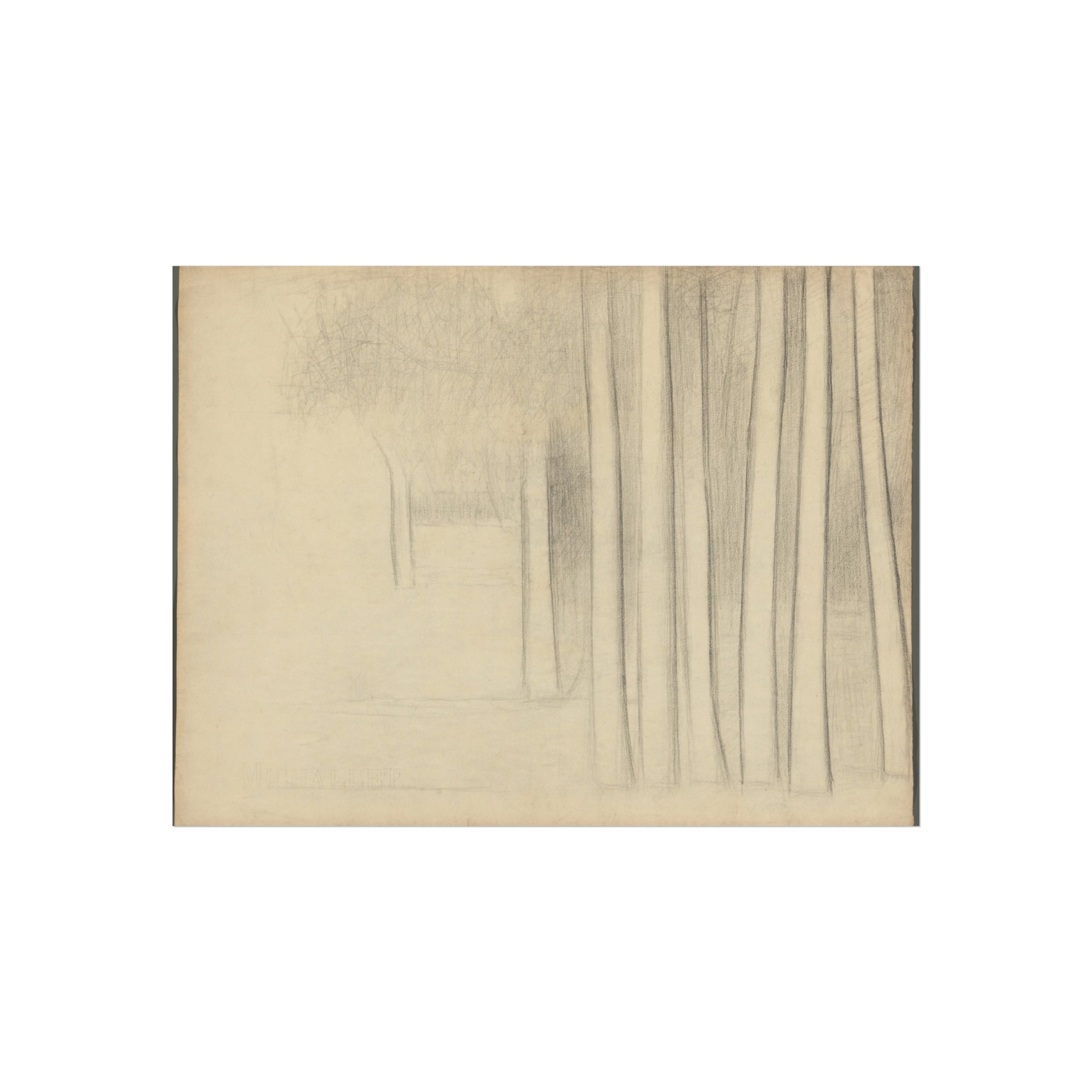 Georges Seurat - Tree Trunks (study) | Fine Art Poster