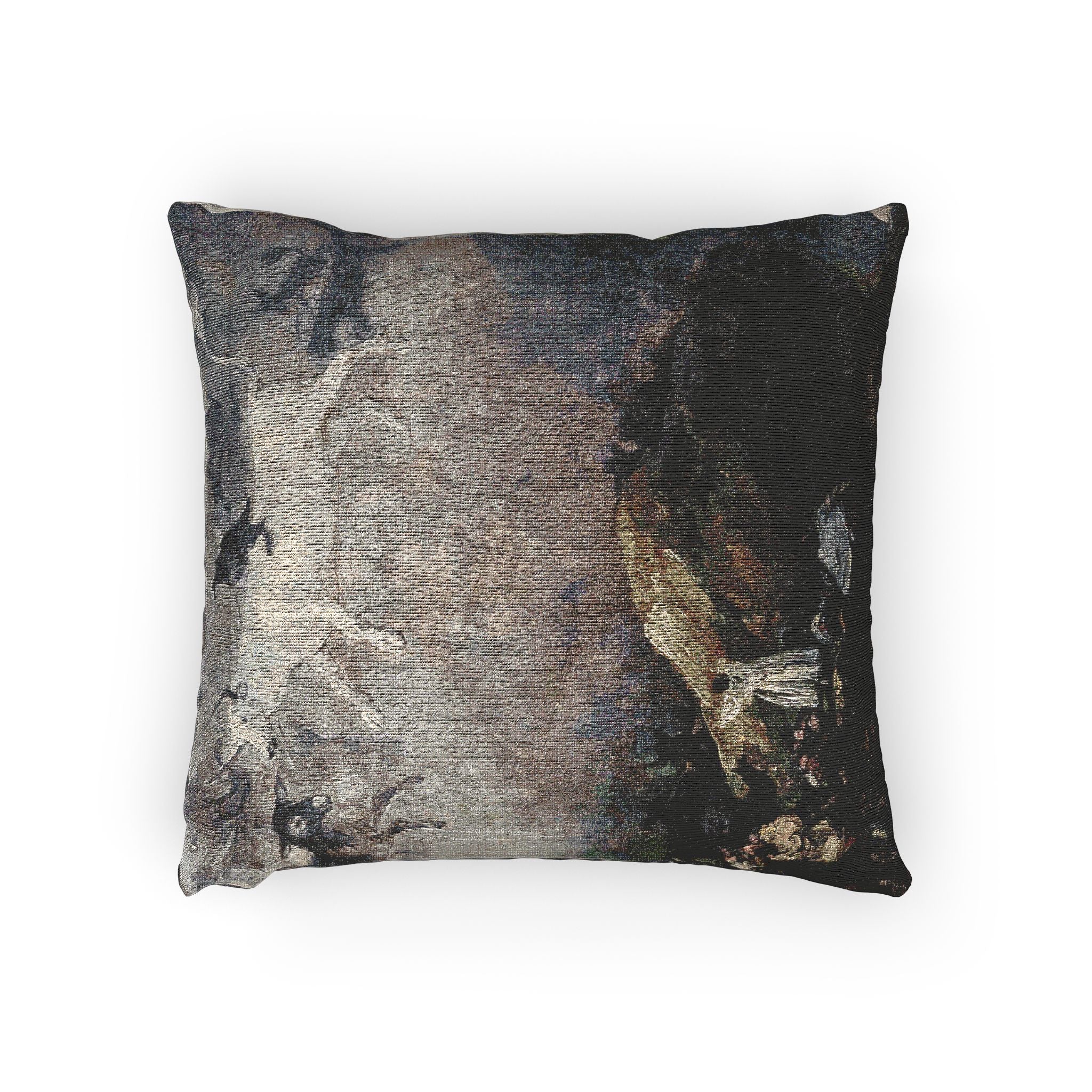 (Agen) Caprice - Francisco de Goya 1818-1819 - Musée des Beaux-Arts d'Agen | Woven Pillow