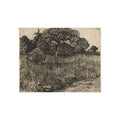 Vincent van Gogh - Weeping Tree | Fine Art Poster