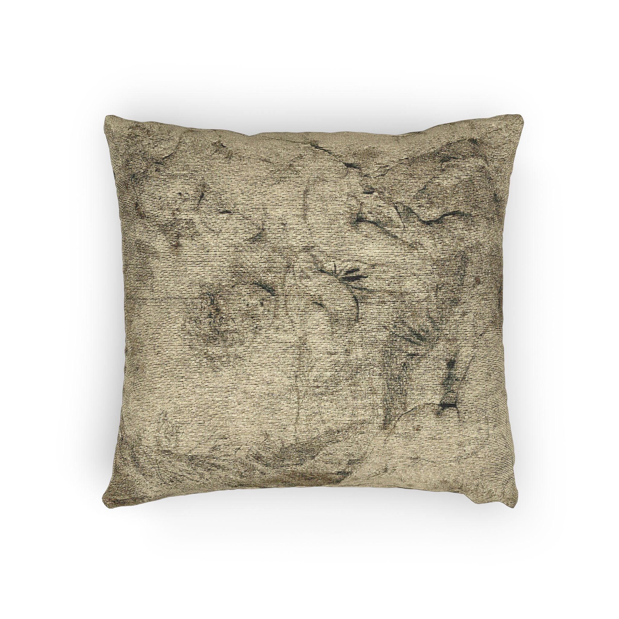 Anthony van Dyck - Young Bacchus and Companions | Woven Pillow