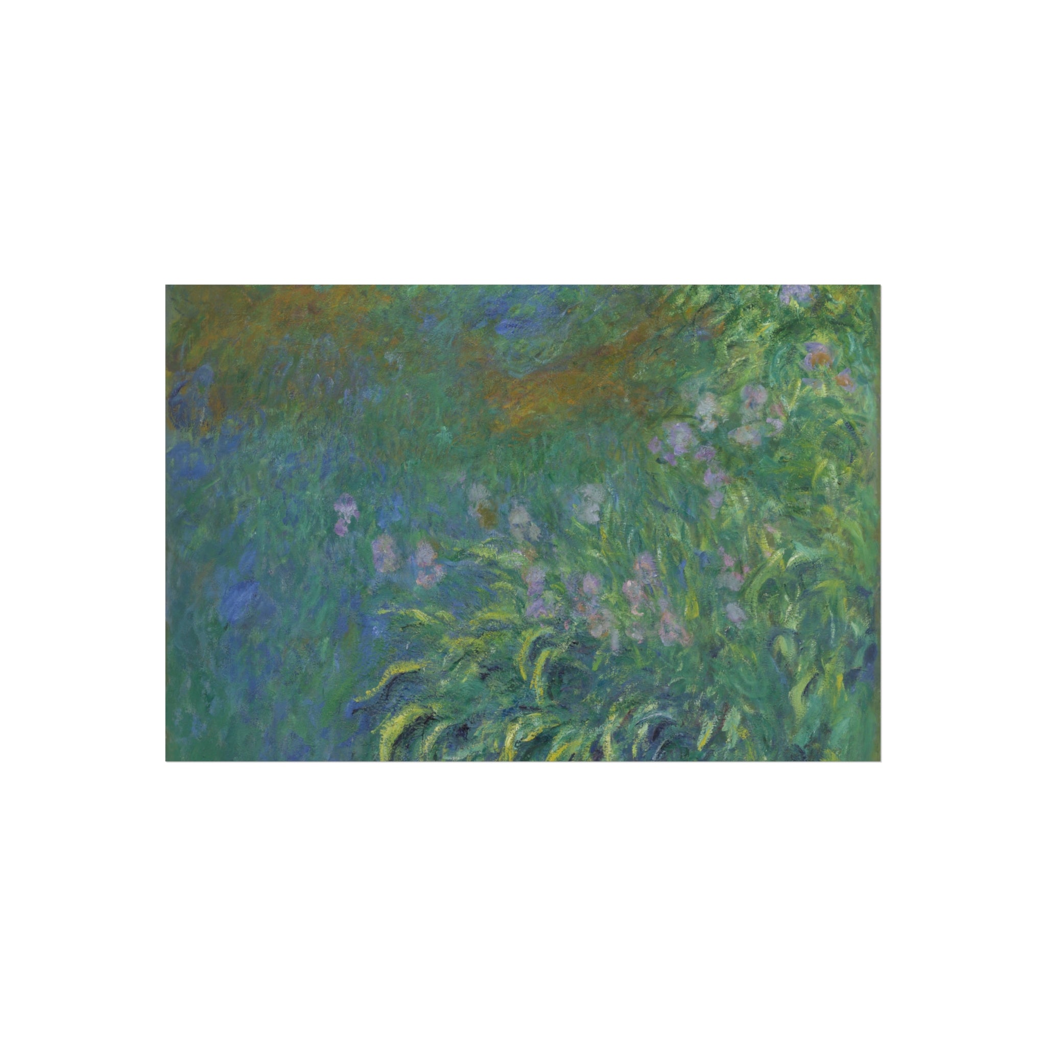 Claude Monet - Irises | Fine Art Poster