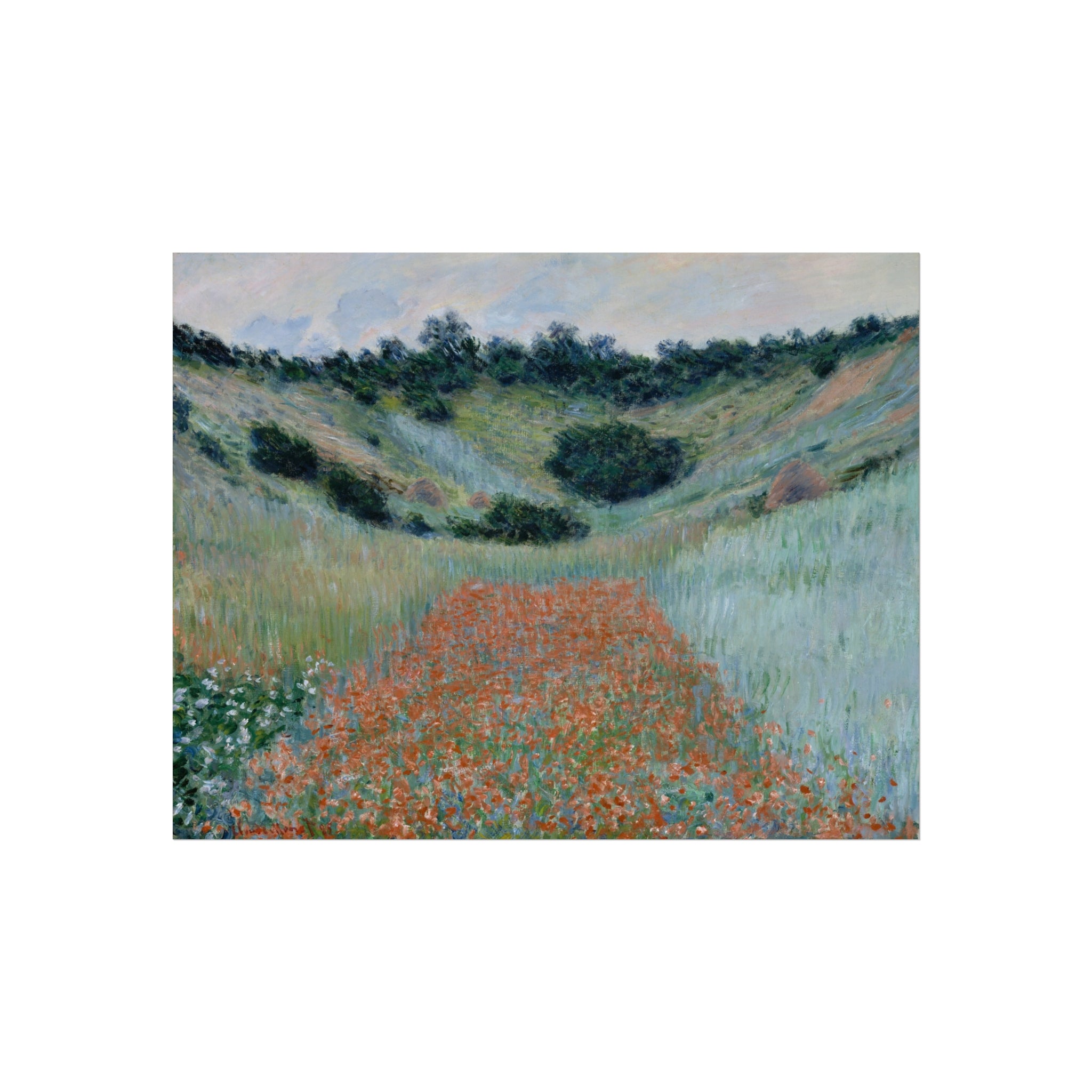 Claude Monet - Poppy Field, Giverny | Fine Art Poster