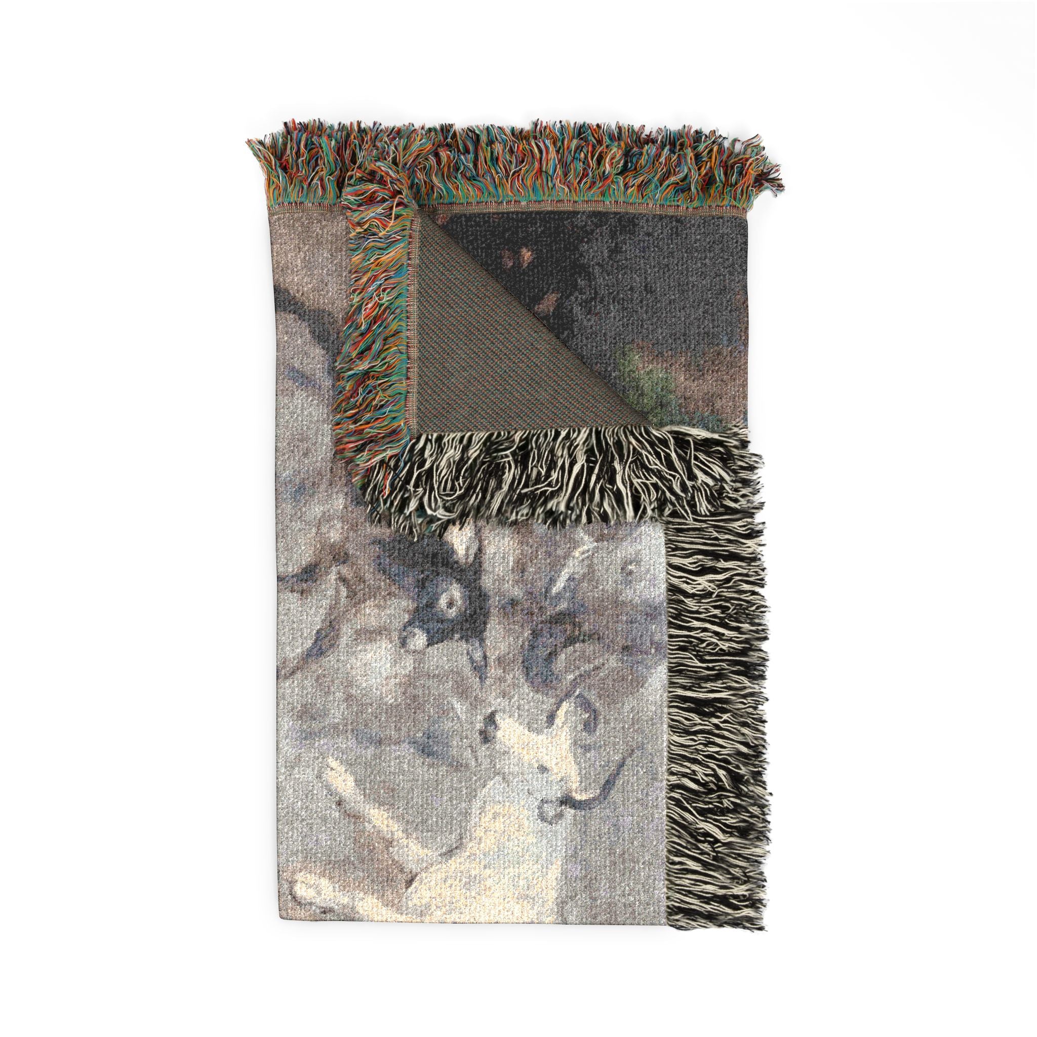 (Agen) Caprice - Francisco de Goya 1818-1819 - Musée des Beaux-Arts d'Agen | Woven Tapestry Blanket