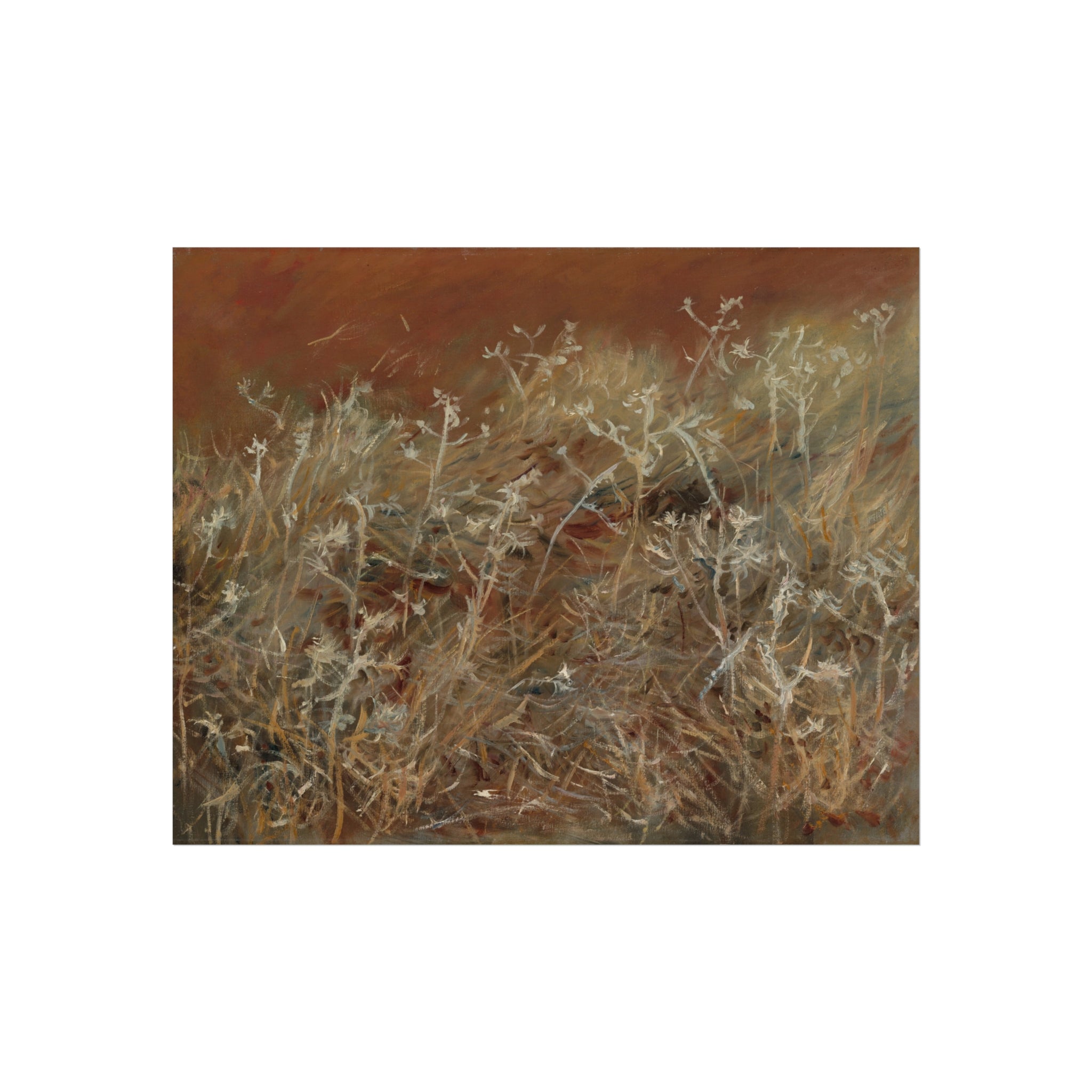 Thistles John Singer Sargent Fine Art Poster
