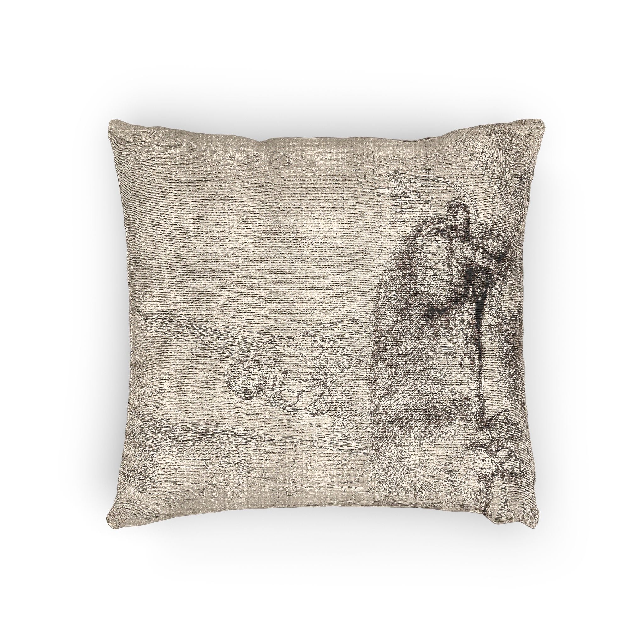Rembrandt van Rijn - The Hog | Woven Pillow