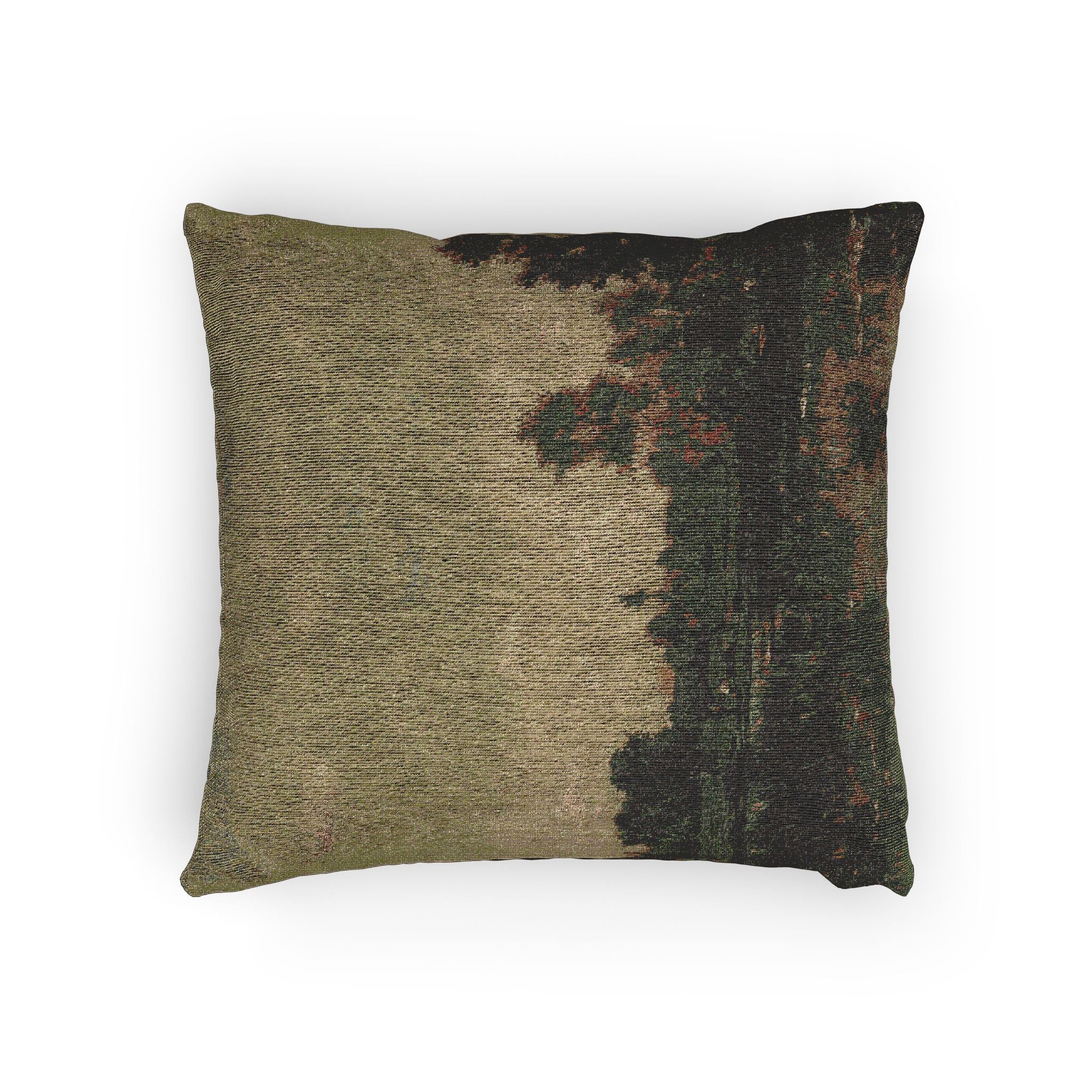 Charles François Daubigny - The Marsh | Woven Pillow