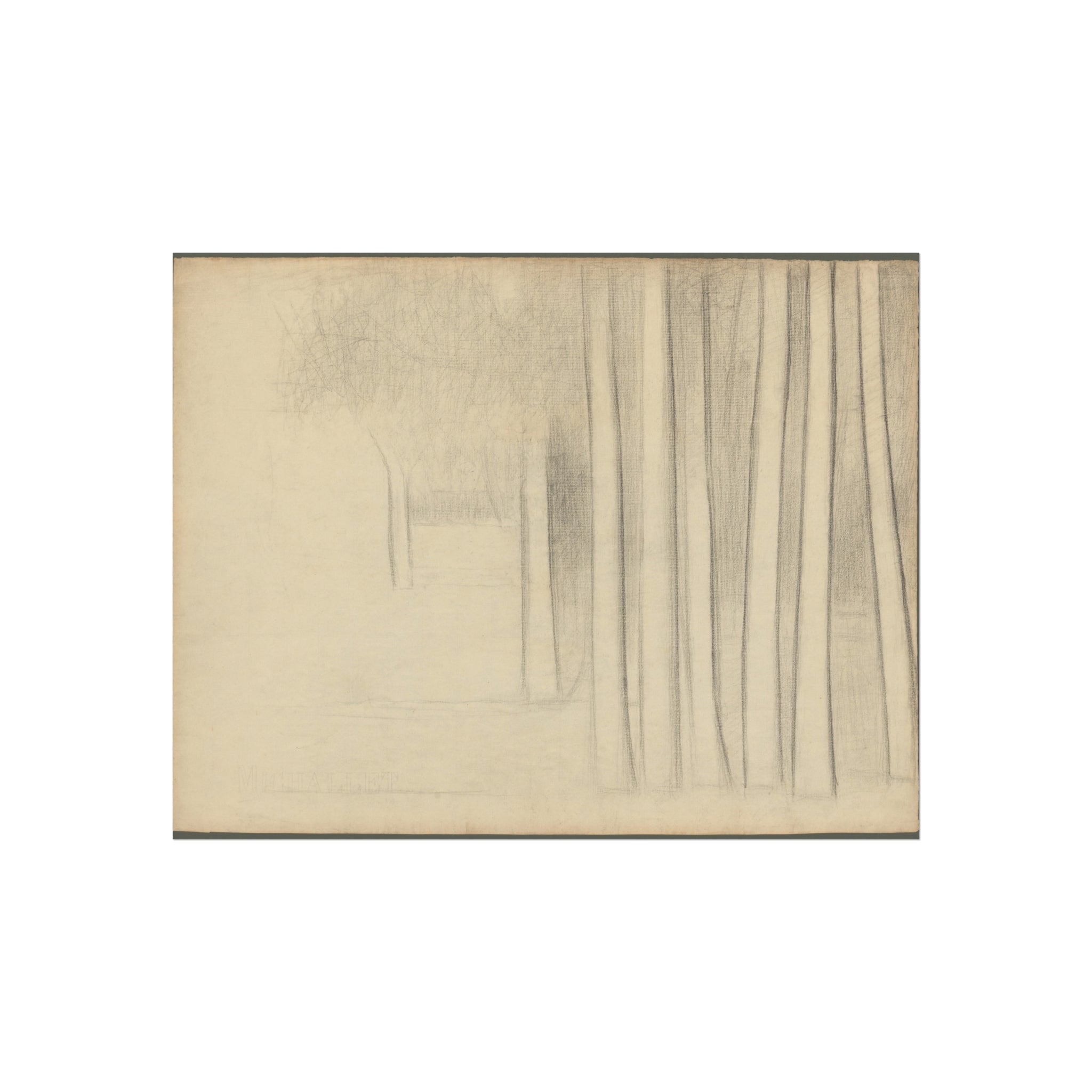 Georges Seurat - Tree Trunks (study) | Fine Art Poster
