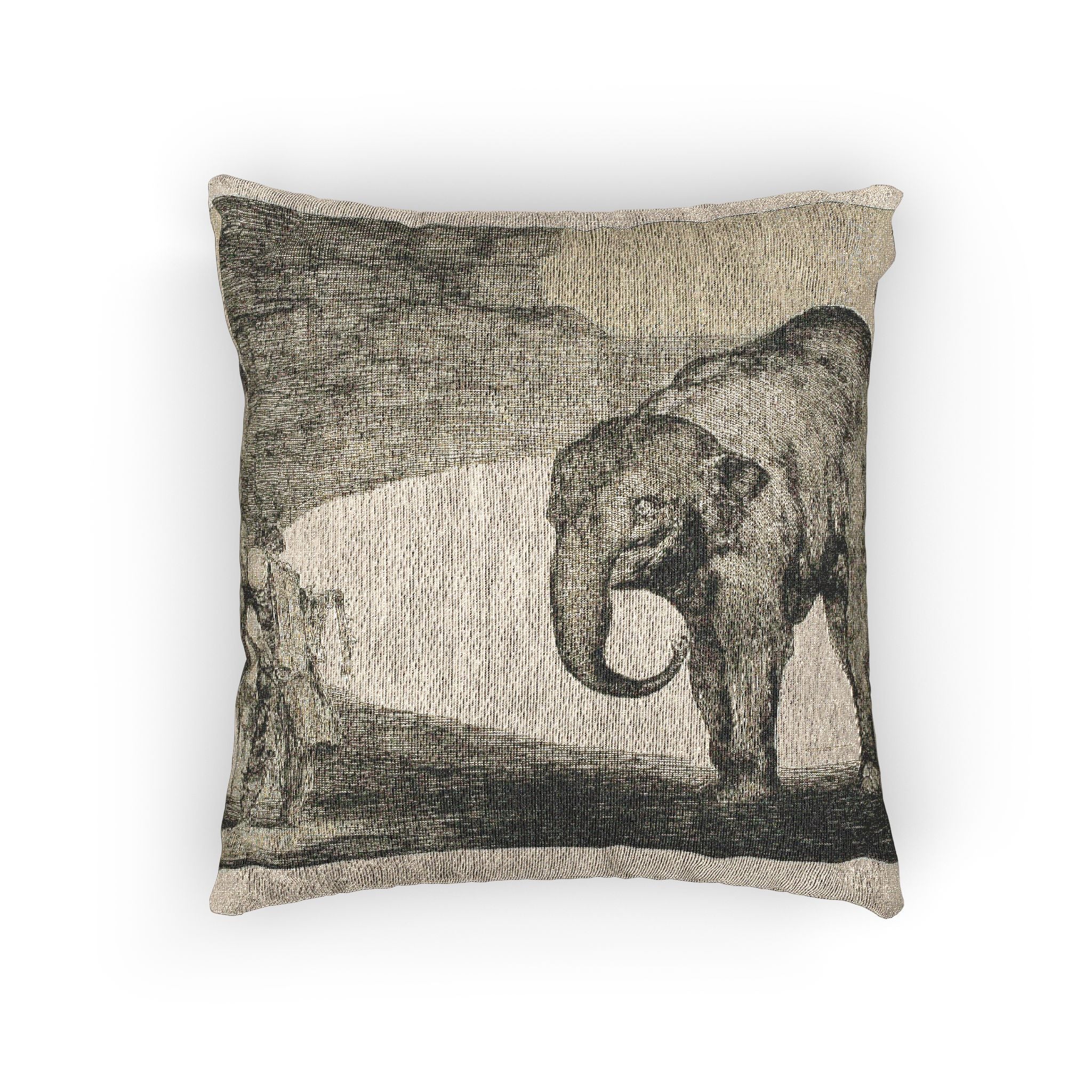 Francisco José de Goya y Lucientes - Animal Folly, from Disparates | Woven Pillow