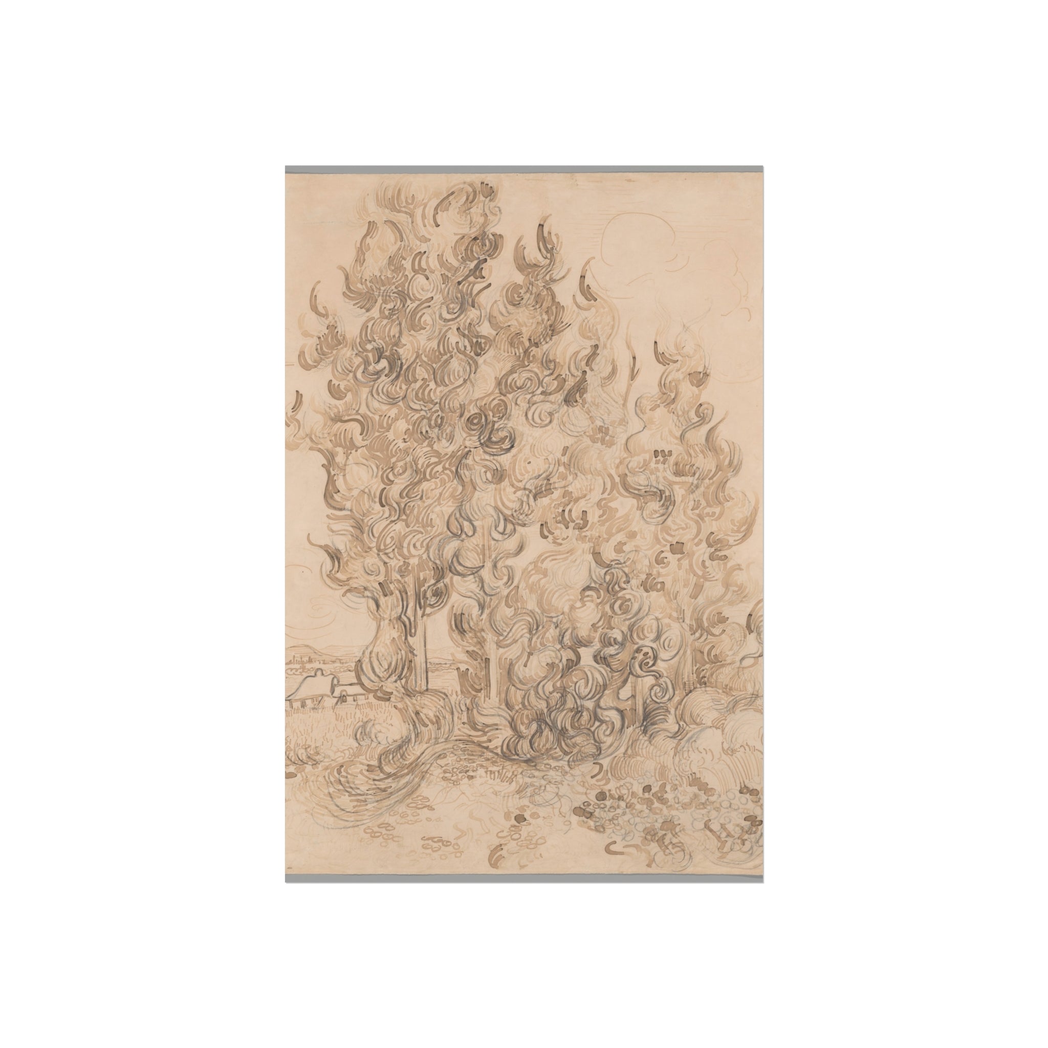 Vincent van Gogh - Cypresses | Fine Art Poster