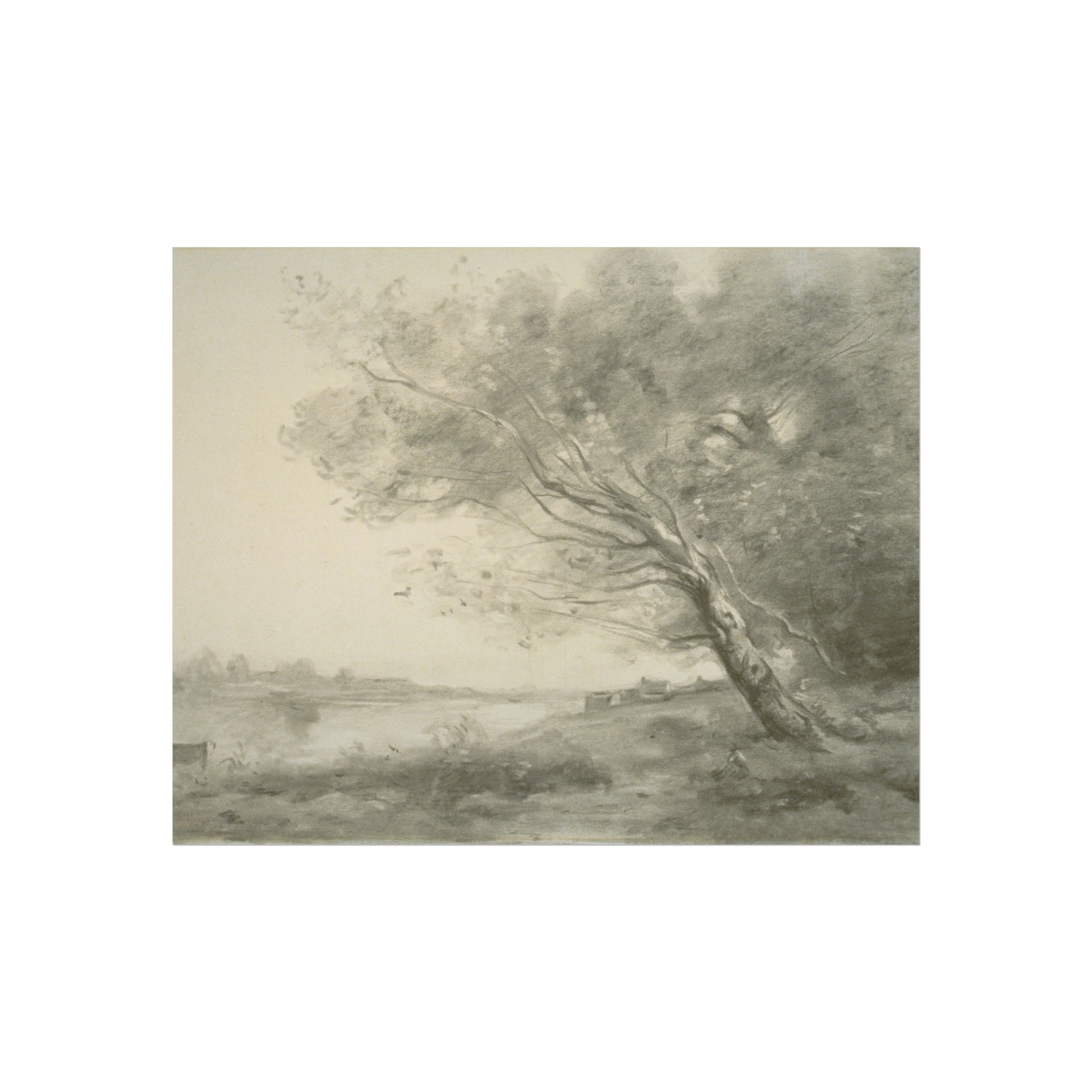 Bent Tree by the Water Camille Corot Fine Art Poster