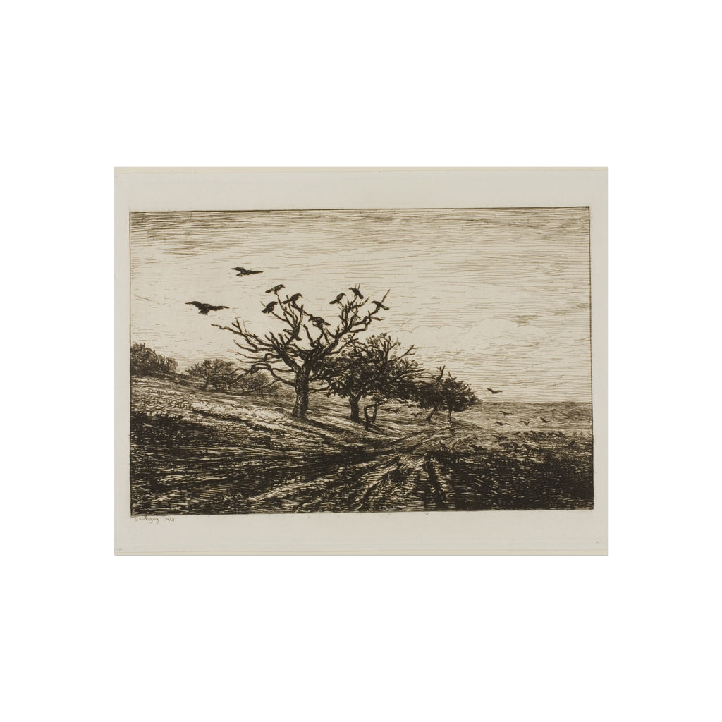 Charles François Daubigny - Crows in a Tree | Fine Art Poster