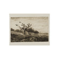 Charles François Daubigny - Crows in a Tree | Fine Art Poster