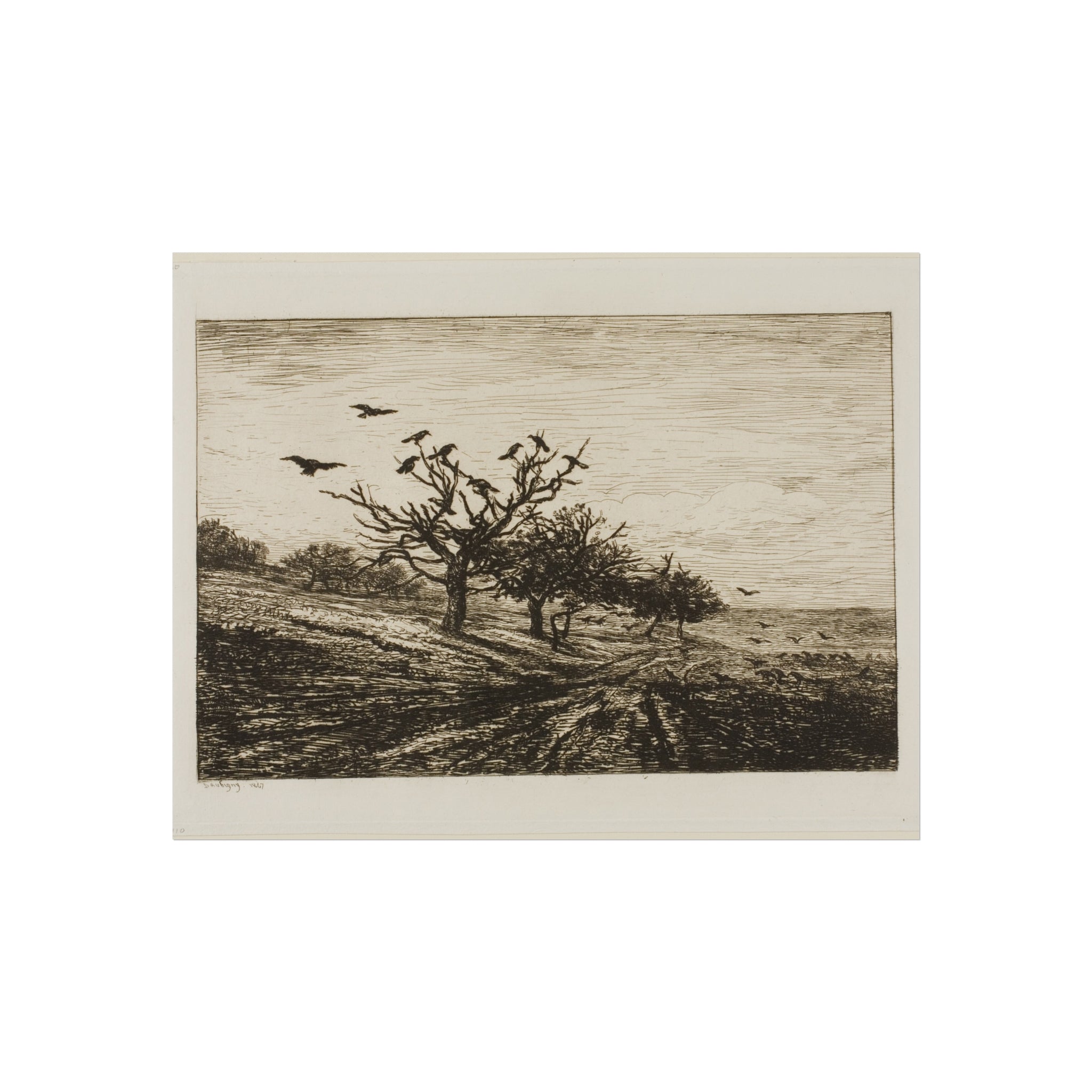 Charles François Daubigny - Crows in a Tree | Fine Art Poster