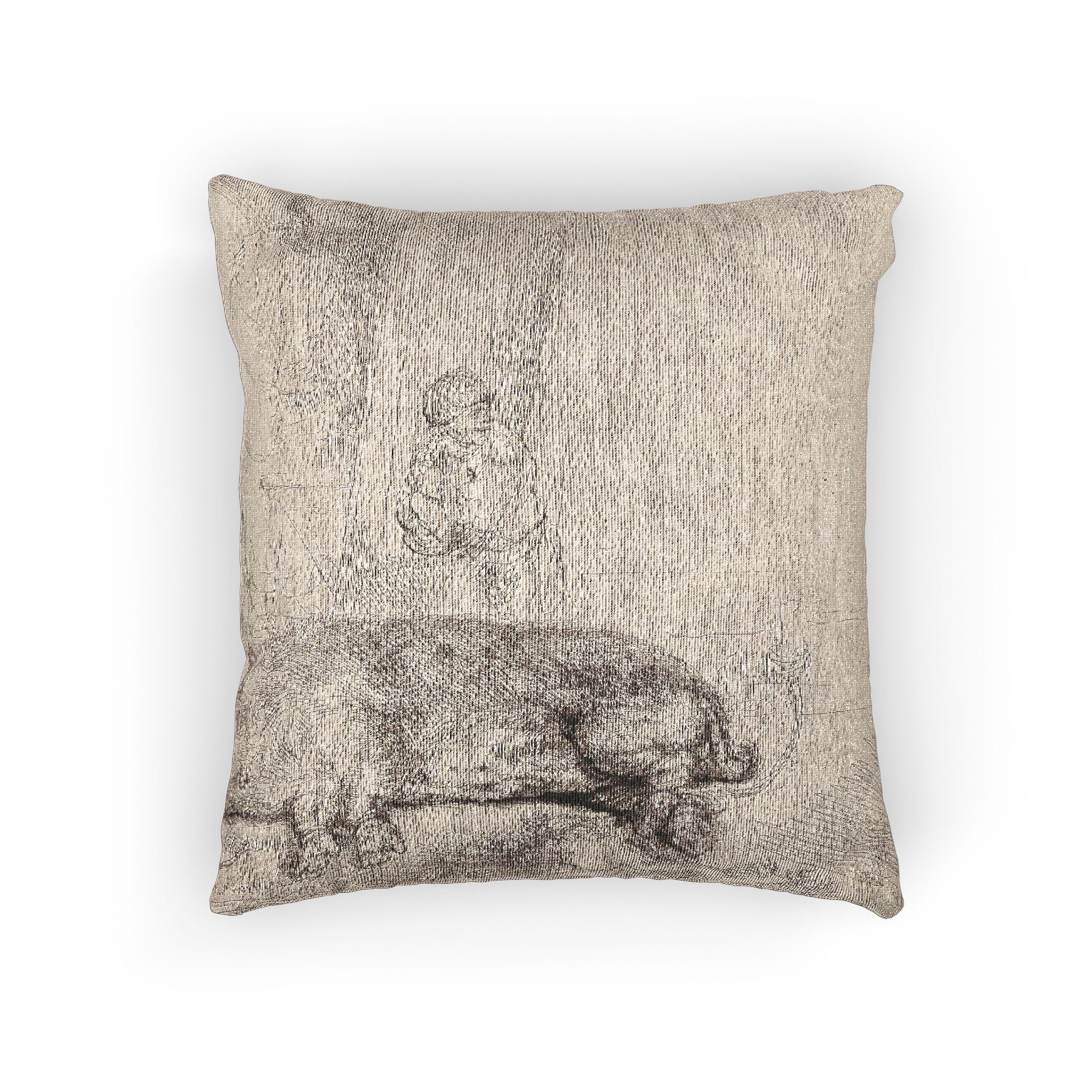 Rembrandt van Rijn - The Hog | Woven Pillow