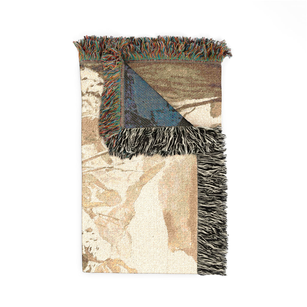 Giovanni Battista Tiepolo - The Meeting of Abraham and Melchizedek | Woven Tapestry Blanket
