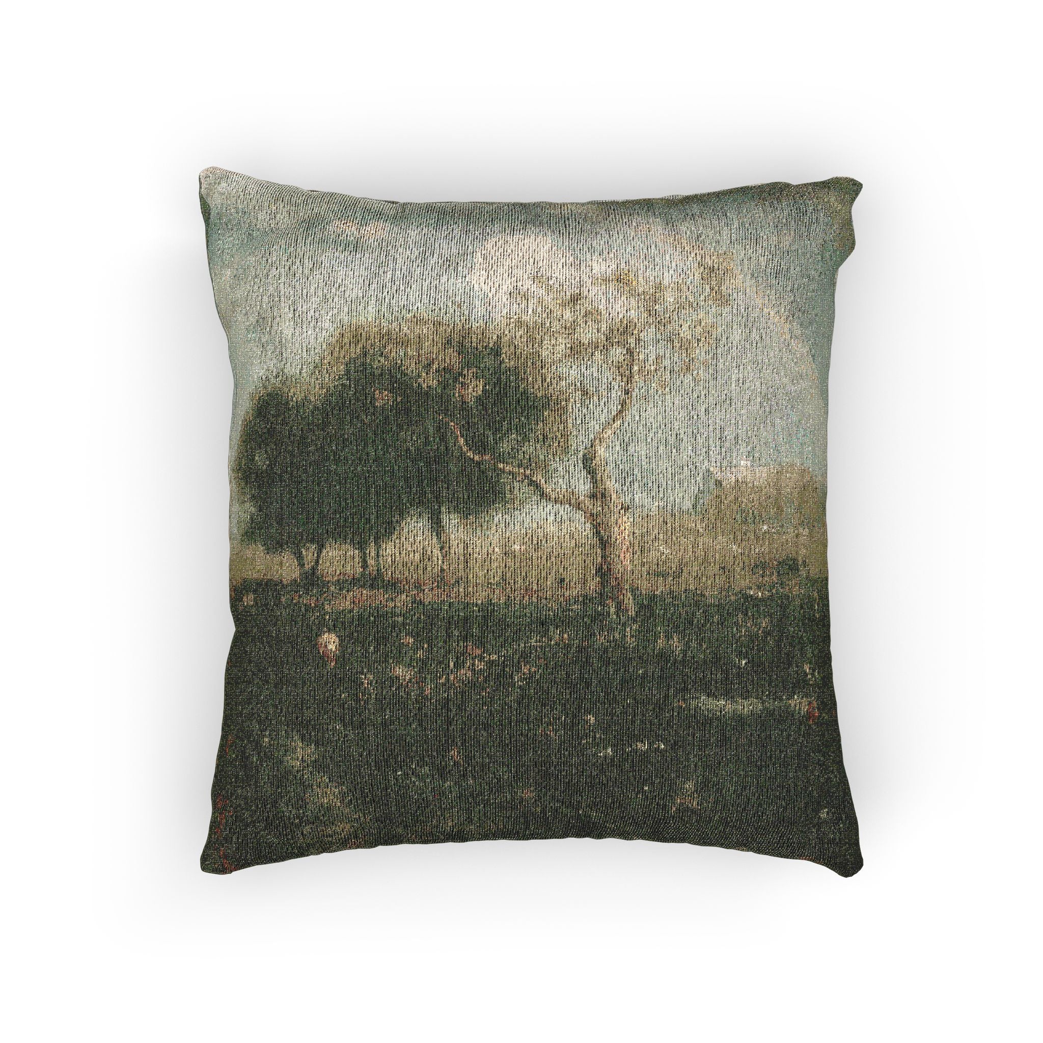 George Inness - After a Summer Shower | Woven Pillow