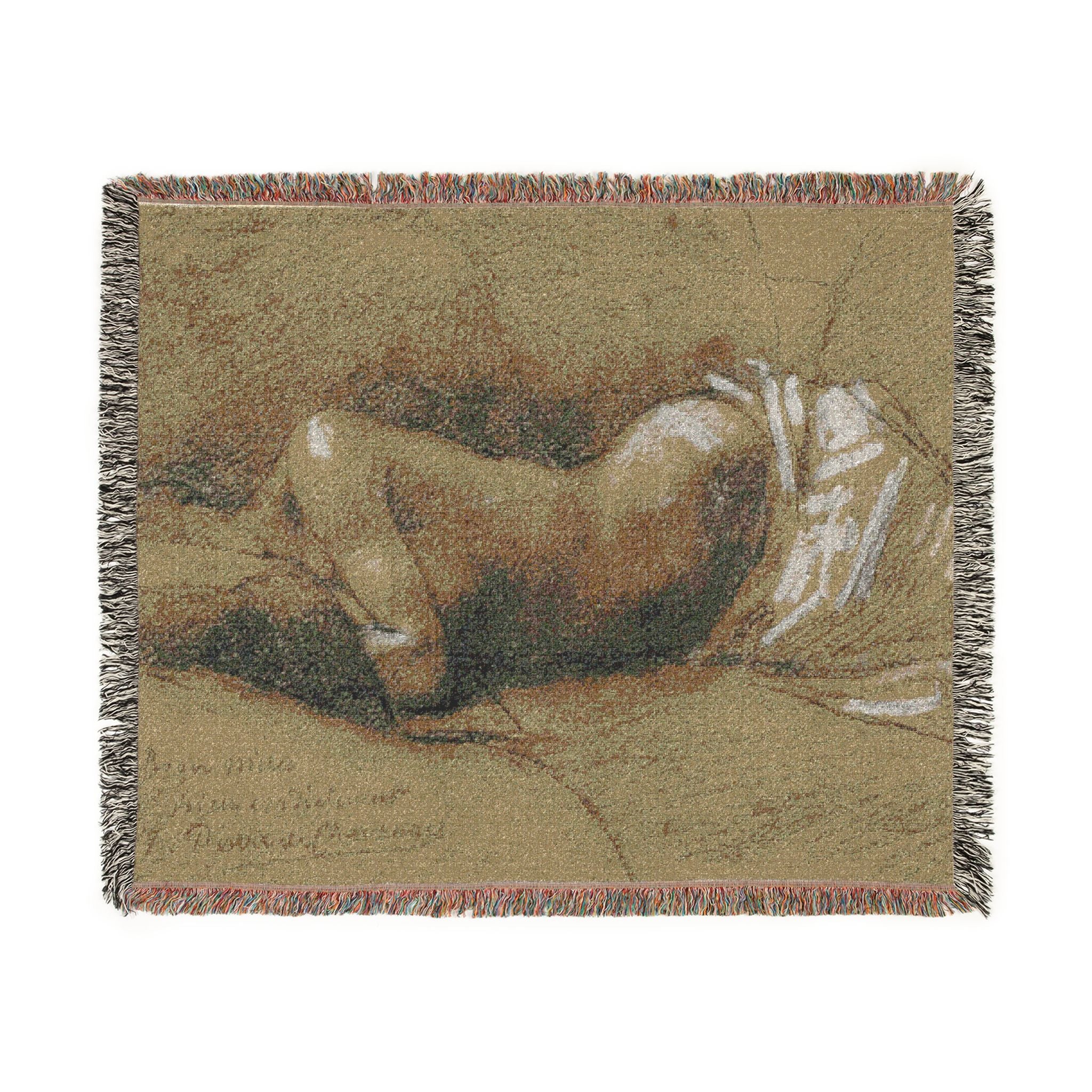 Study of a Sleeping Woman Pierre Puvis de Chavannes Tapestry Blanket