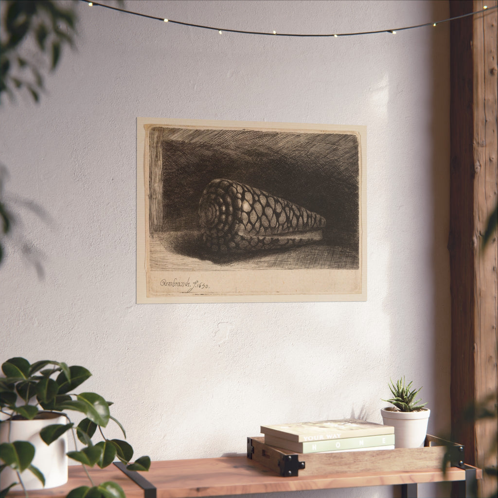 Rembrandt van Rijn - The Shell | Fine Art Poster