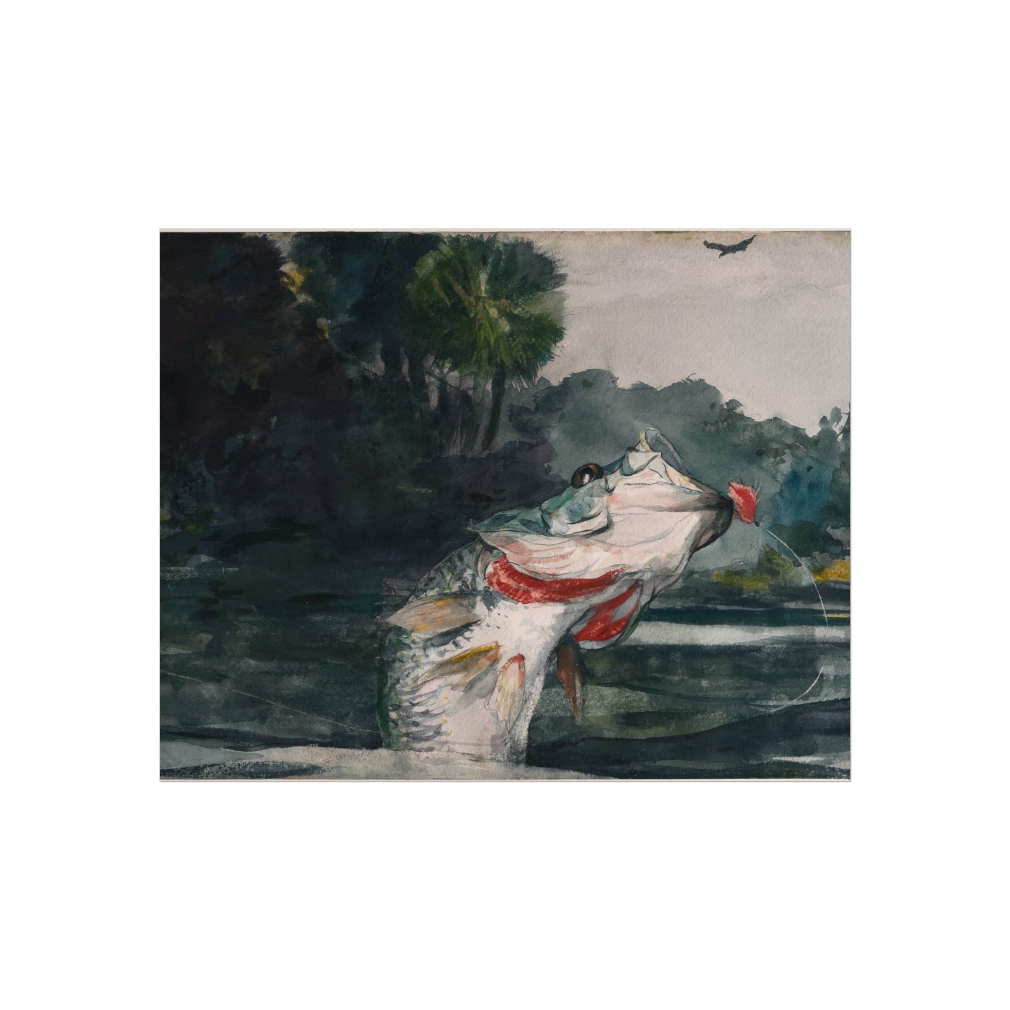 Life-Size Black Bass Winslow Homer Fine Art Poster