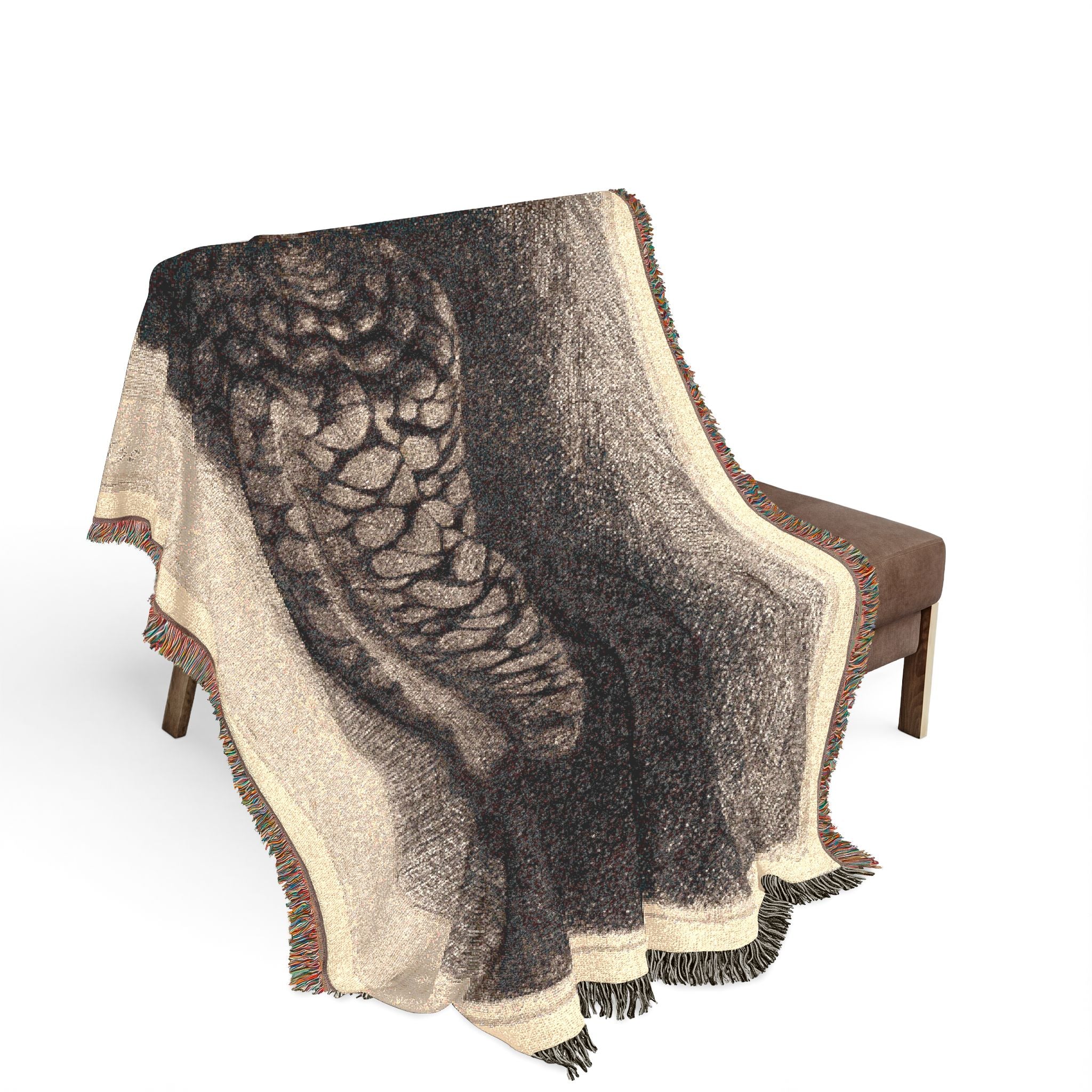 Rembrandt van Rijn - The Shell | Woven Tapestry Blanket