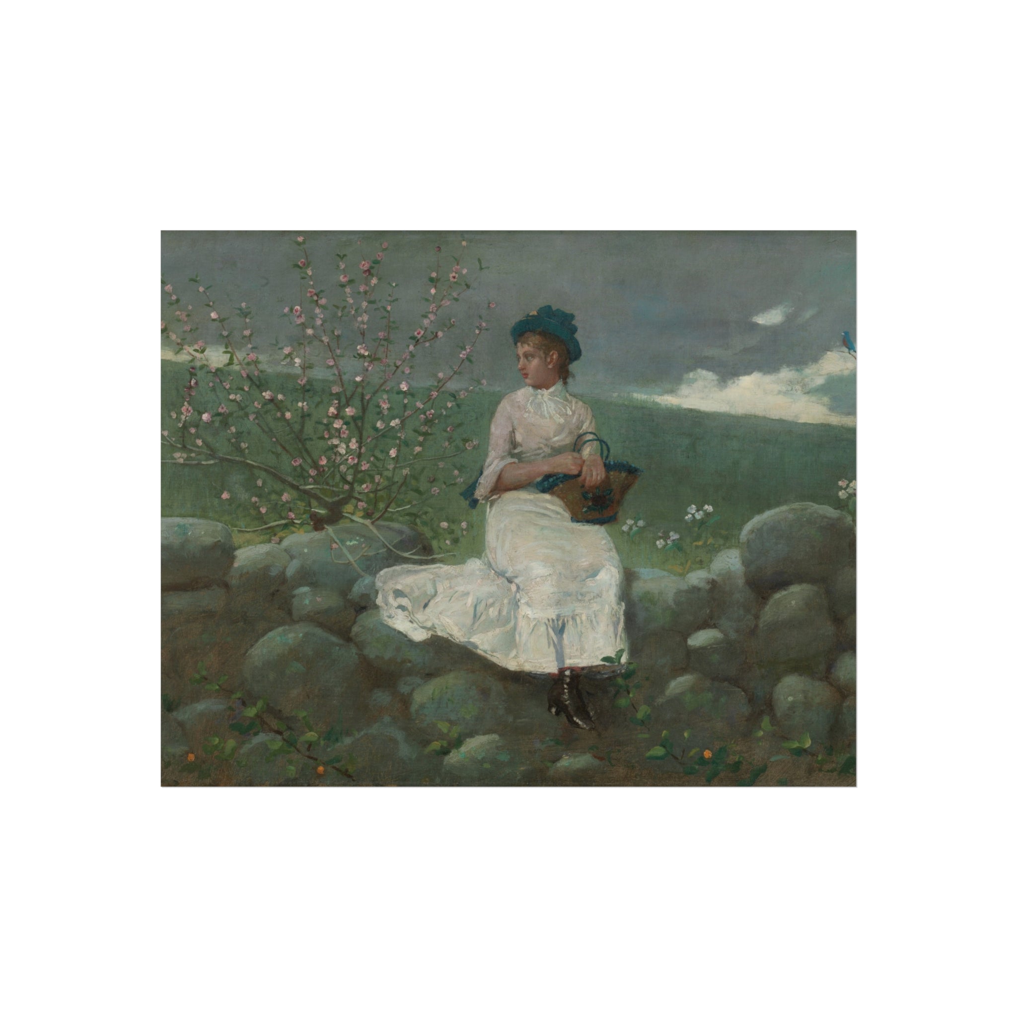 Peach Blossoms Winslow Homer Fine Art Poster