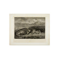Eugène Delacroix - Bengal Tiger | Fine Art Poster