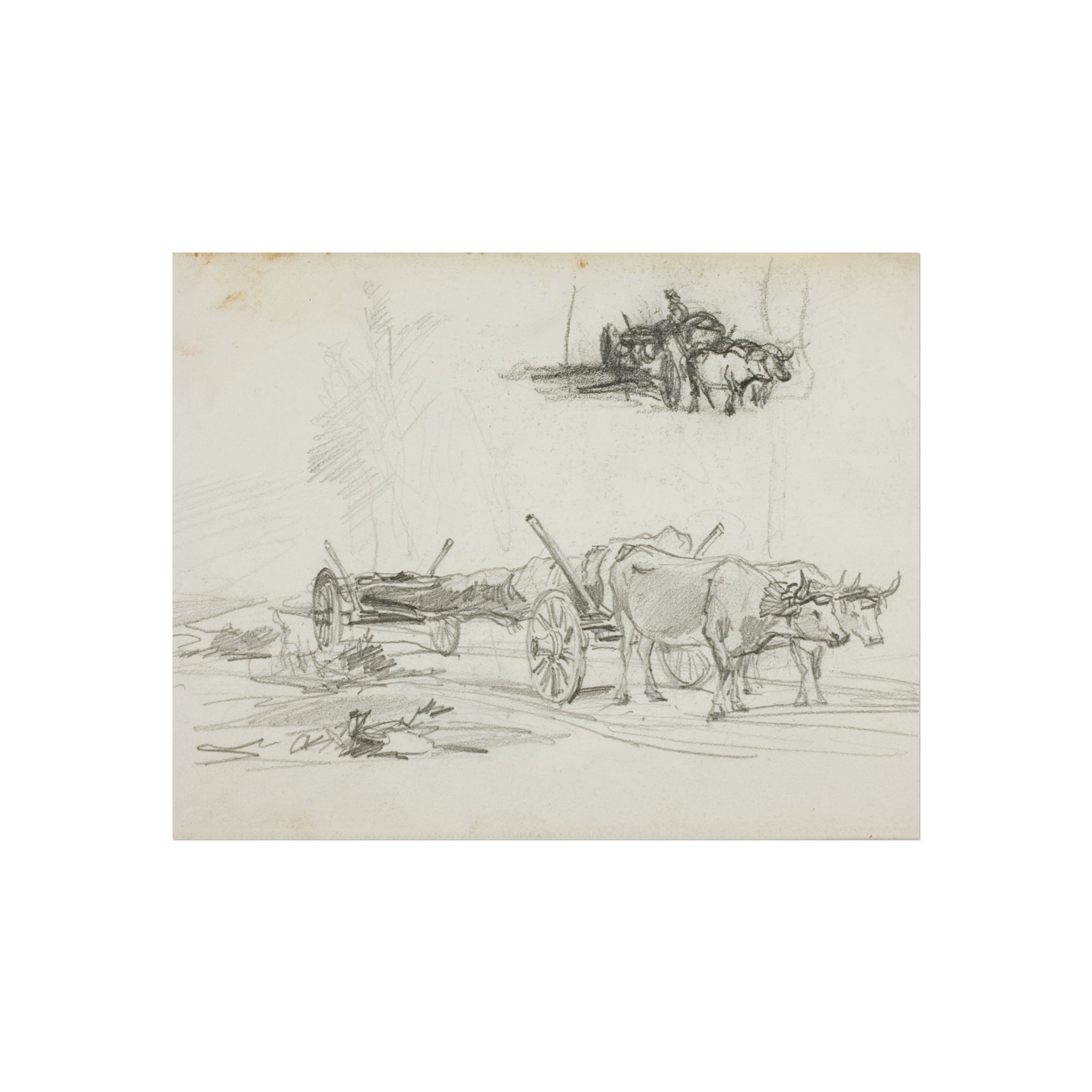 Charles François Daubigny - Two Sketches of Oxen Hauling a Log | Fine Art Poster