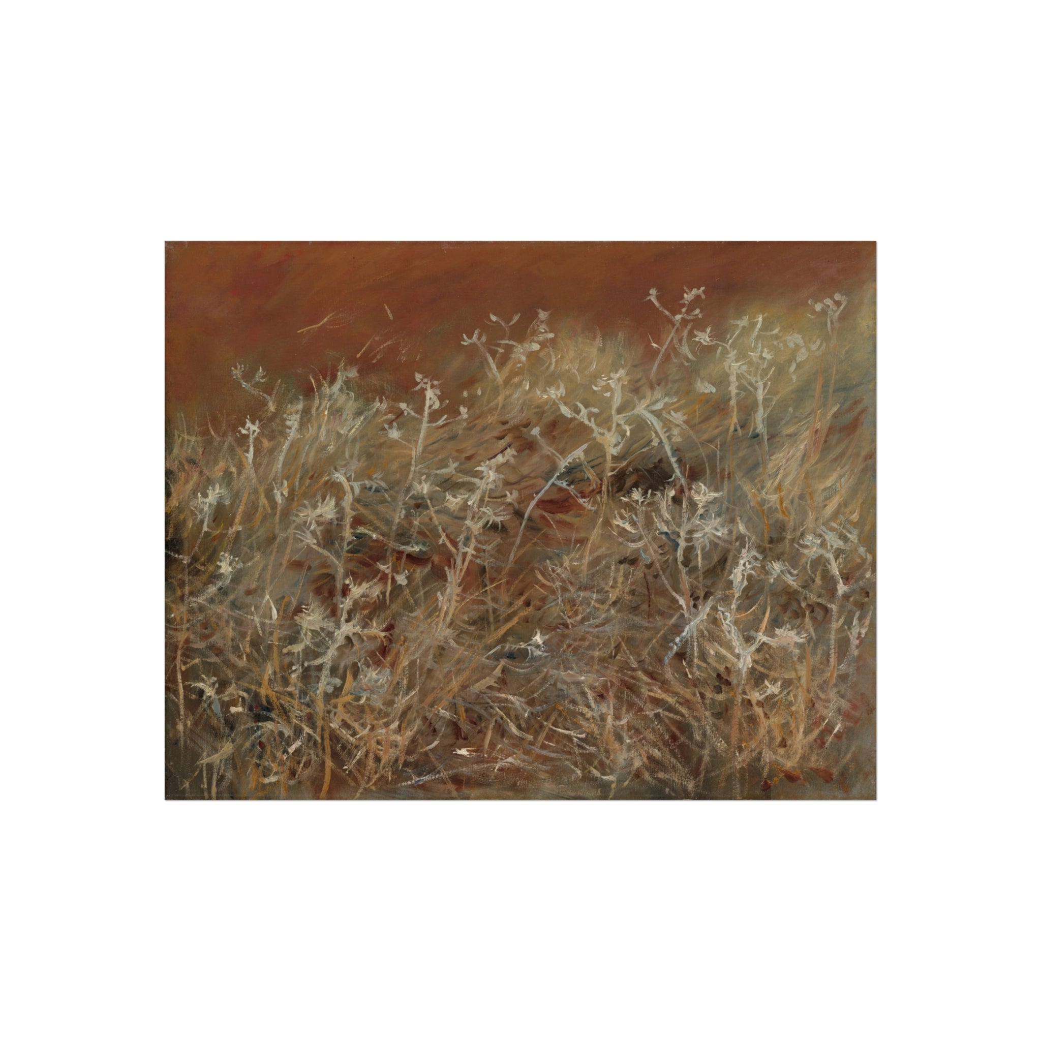 John Singer Sargent - Thistles | Fine Art Poster