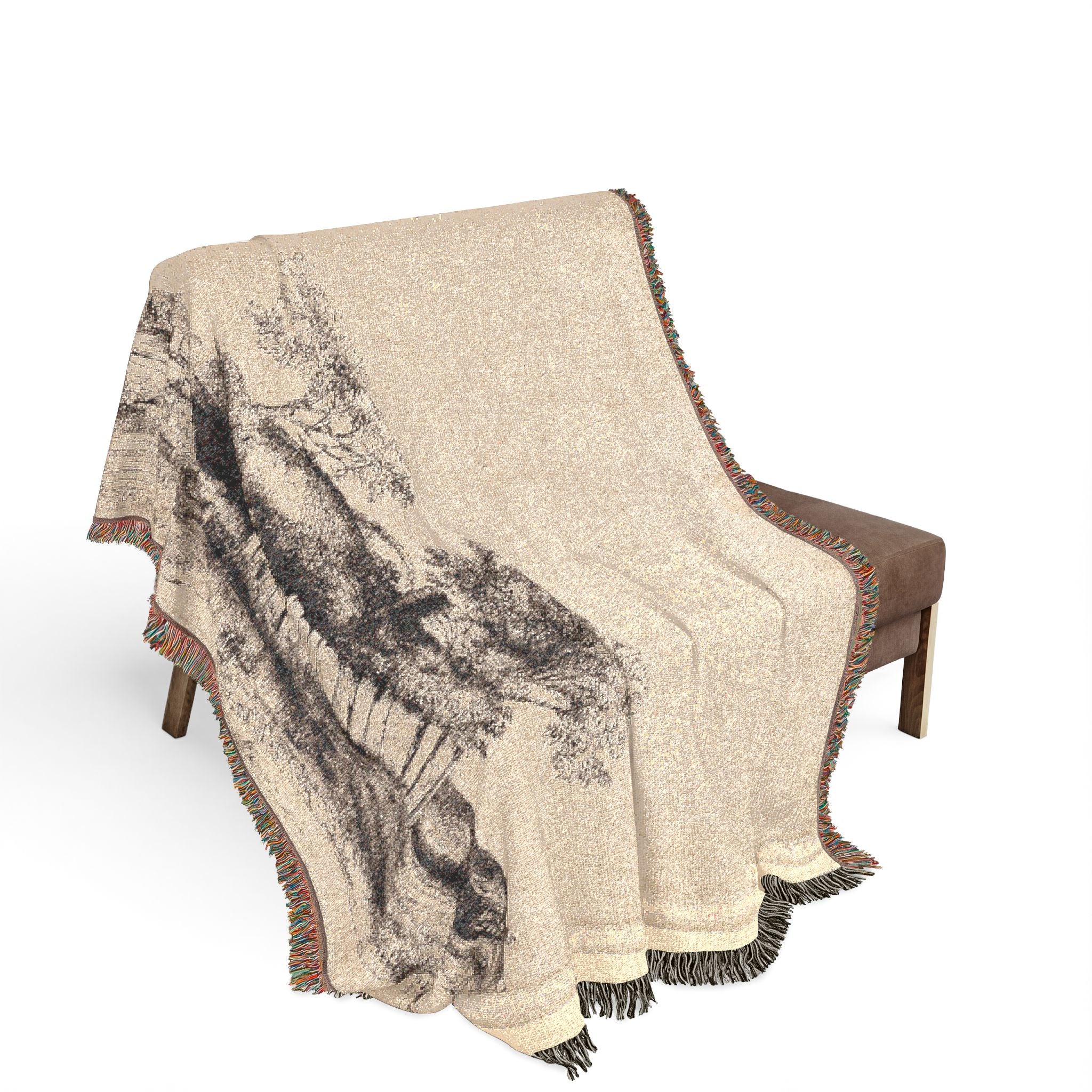Rembrandt van Rijn - A Cottage with White Paling | Woven Tapestry Blanket