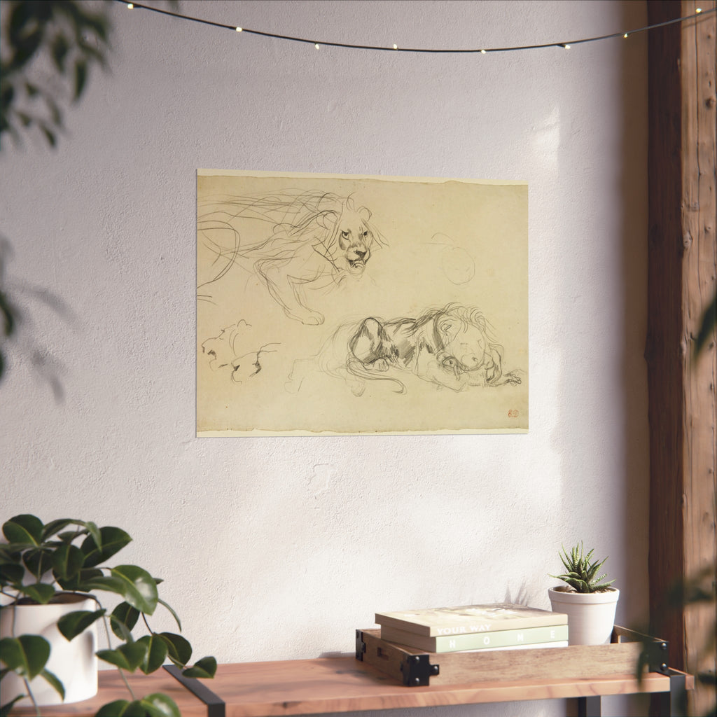 Eugène Delacroix - Studies of Lions | Fine Art Poster