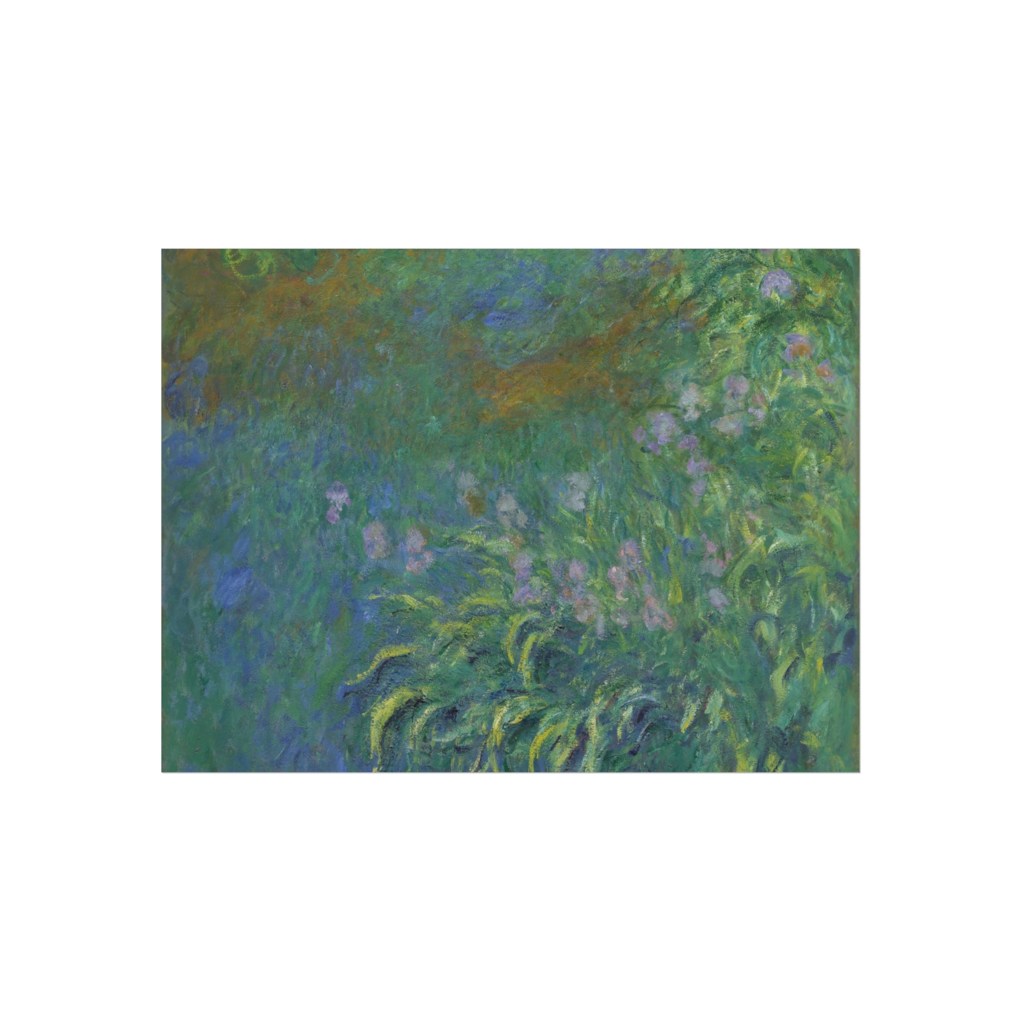Claude Monet - Irises | Fine Art Poster