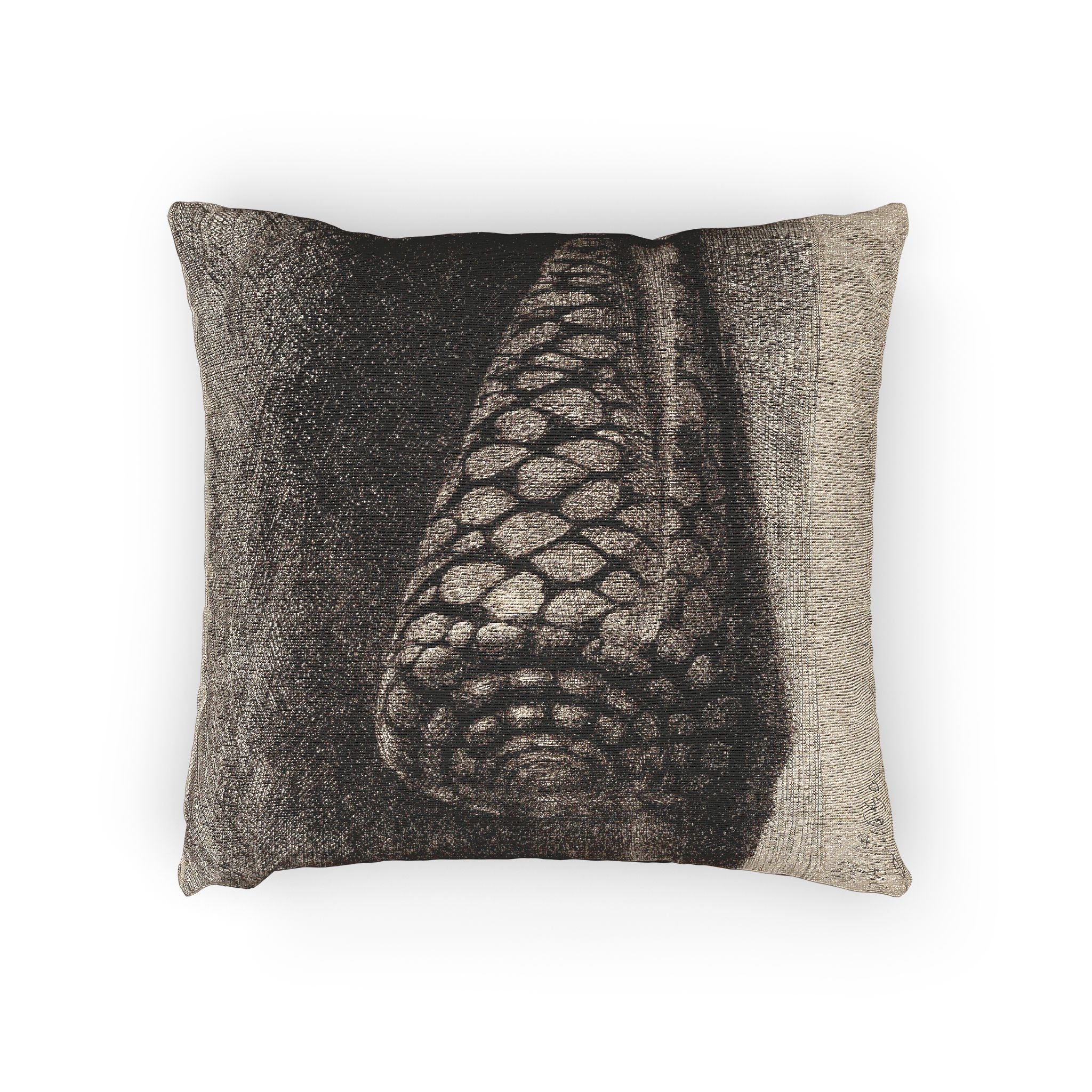 Rembrandt van Rijn - The Shell | Woven Pillow