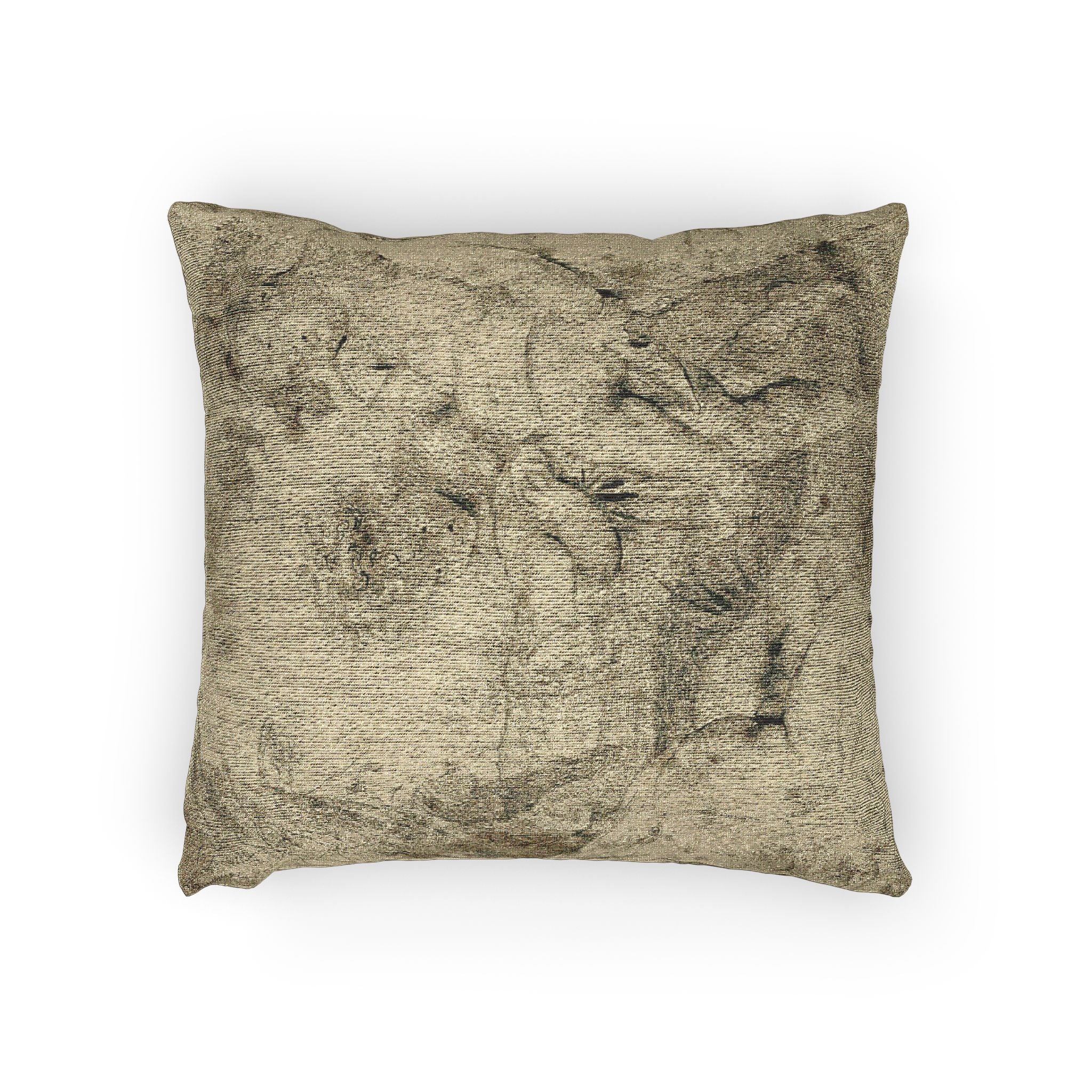 Anthony van Dyck - Young Bacchus and Companions | Woven Pillow