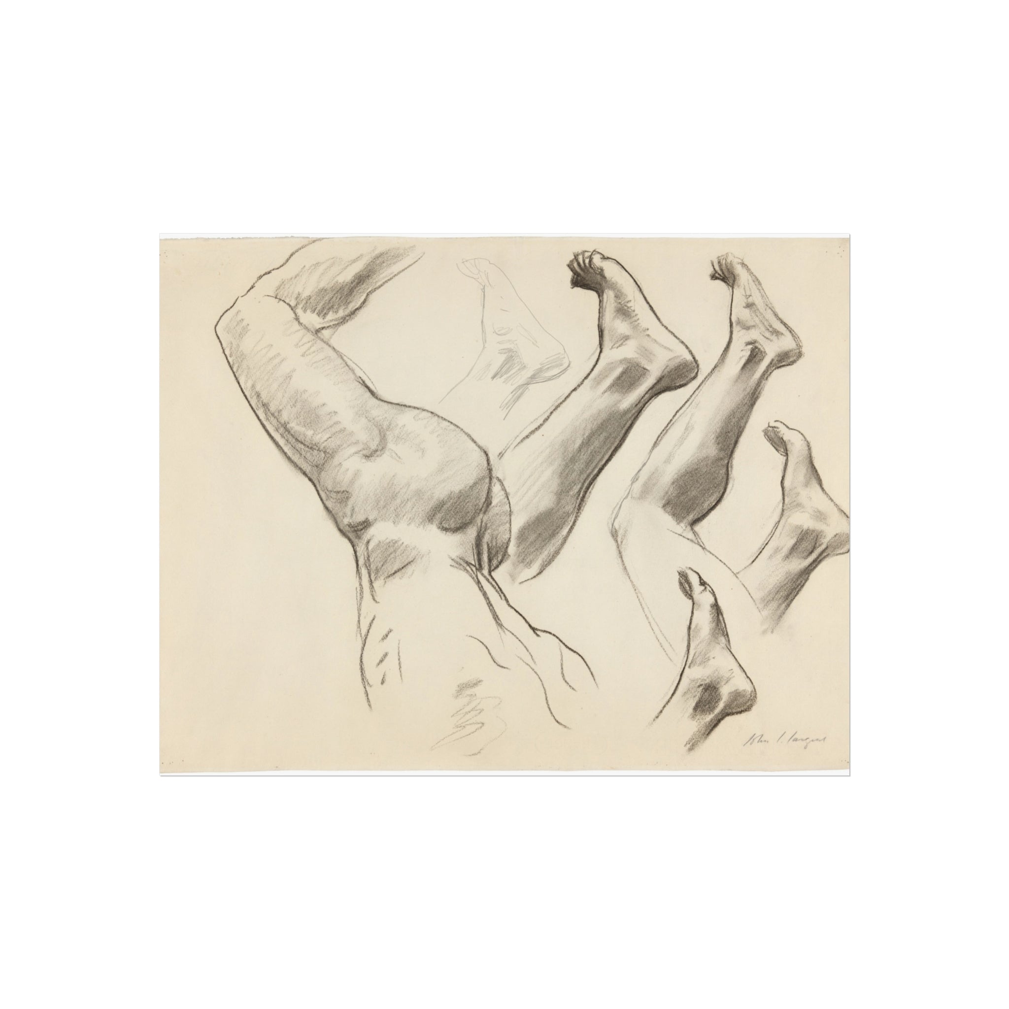 John Singer Sargent - Sketches of Legs and Feet | Fine Art Poster