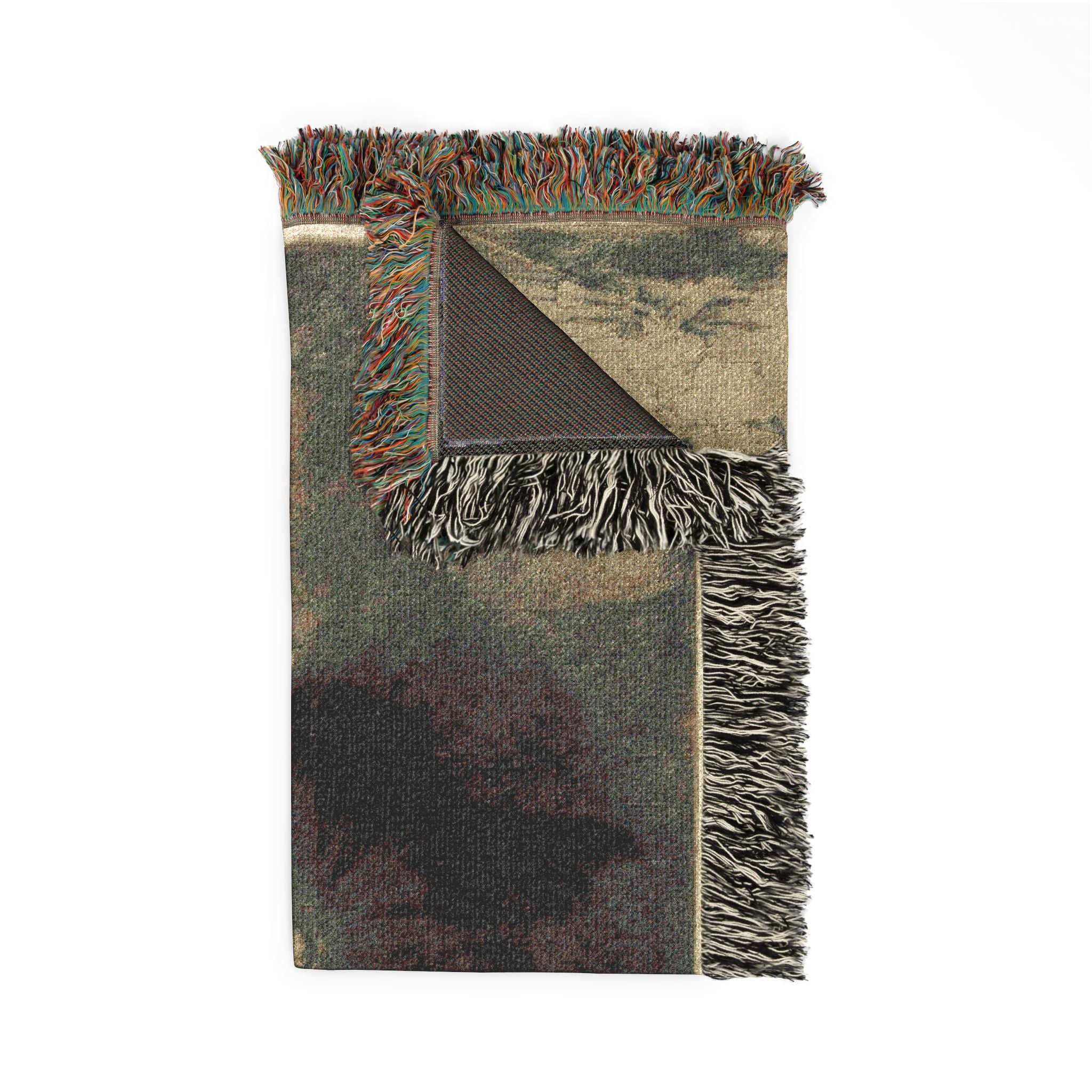 Rembrandt van Rijn - The Hundred Guilder Print | Woven Tapestry Blanket