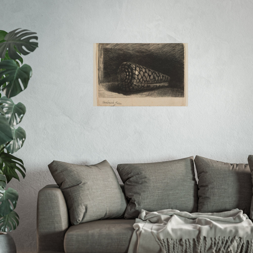 Rembrandt van Rijn - The Shell | Fine Art Poster
