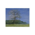 William Turner - Study of a Tree in Bloom | Fine Art Poster