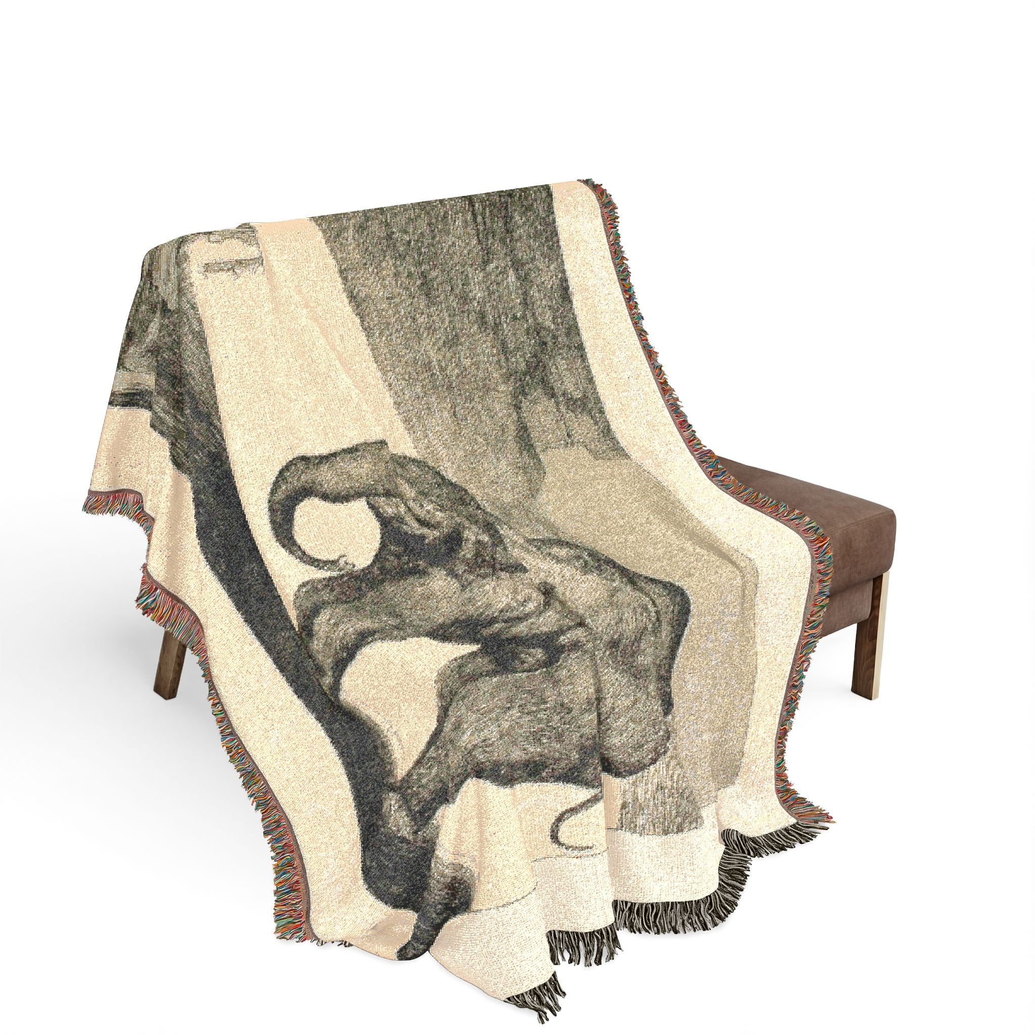 Francisco José de Goya y Lucientes - Animal Folly, from Disparates | Woven Tapestry Blanket