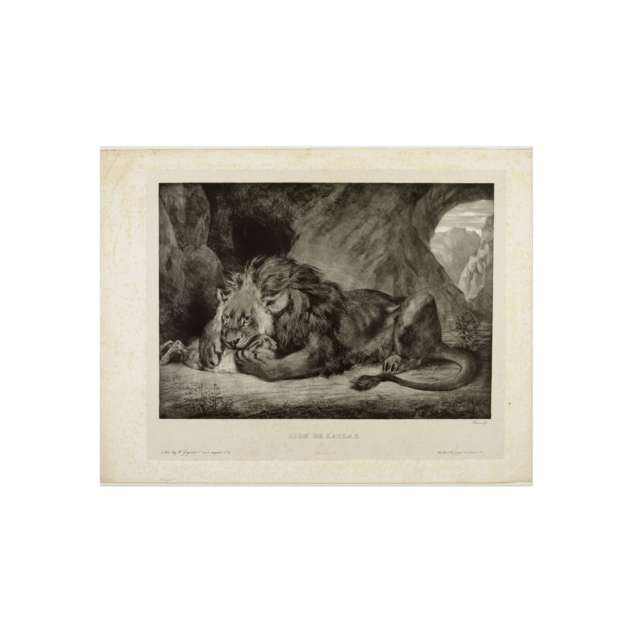 Eugène Delacroix - Lion of the Atlas Mountains | Fine Art Poster