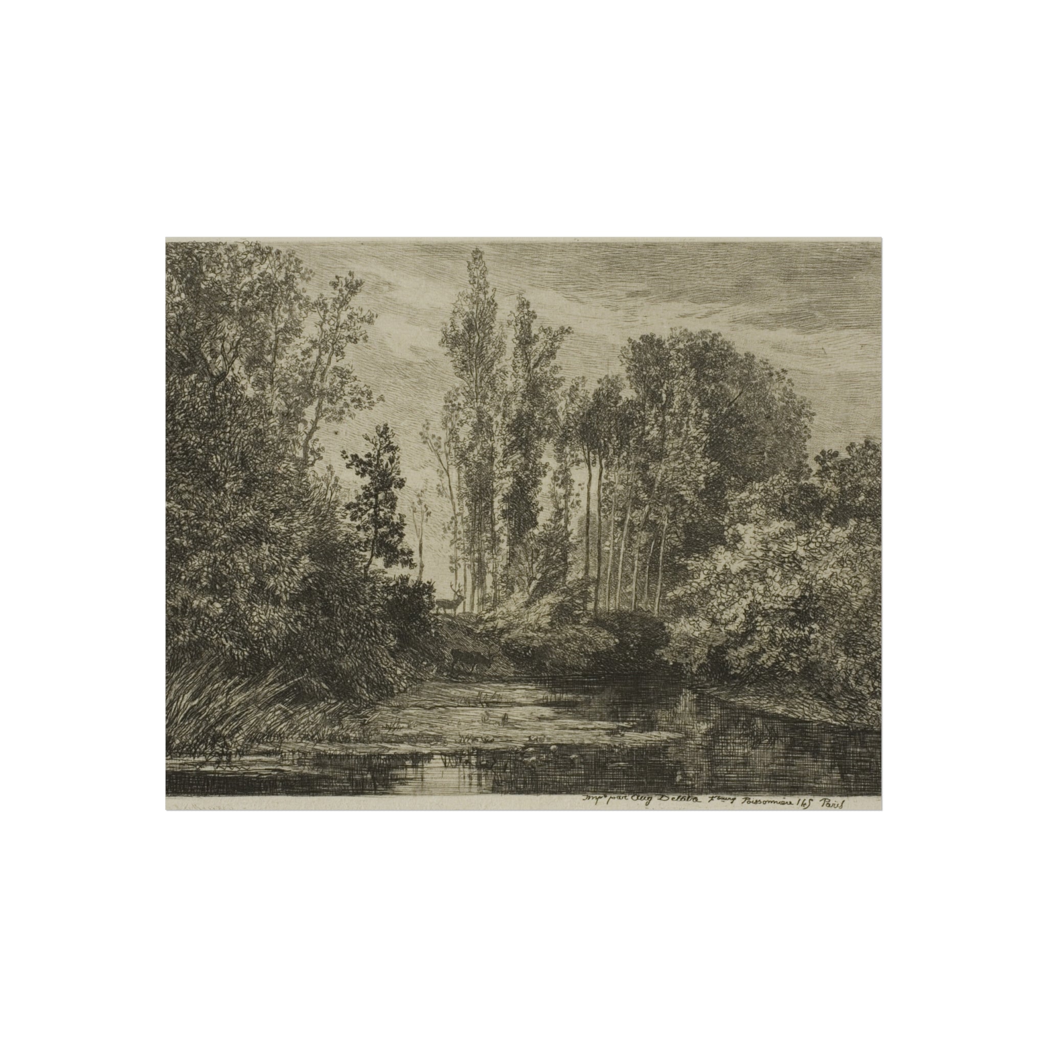Stags at the Water's Edge Charles François Daubigny Fine Art Poster