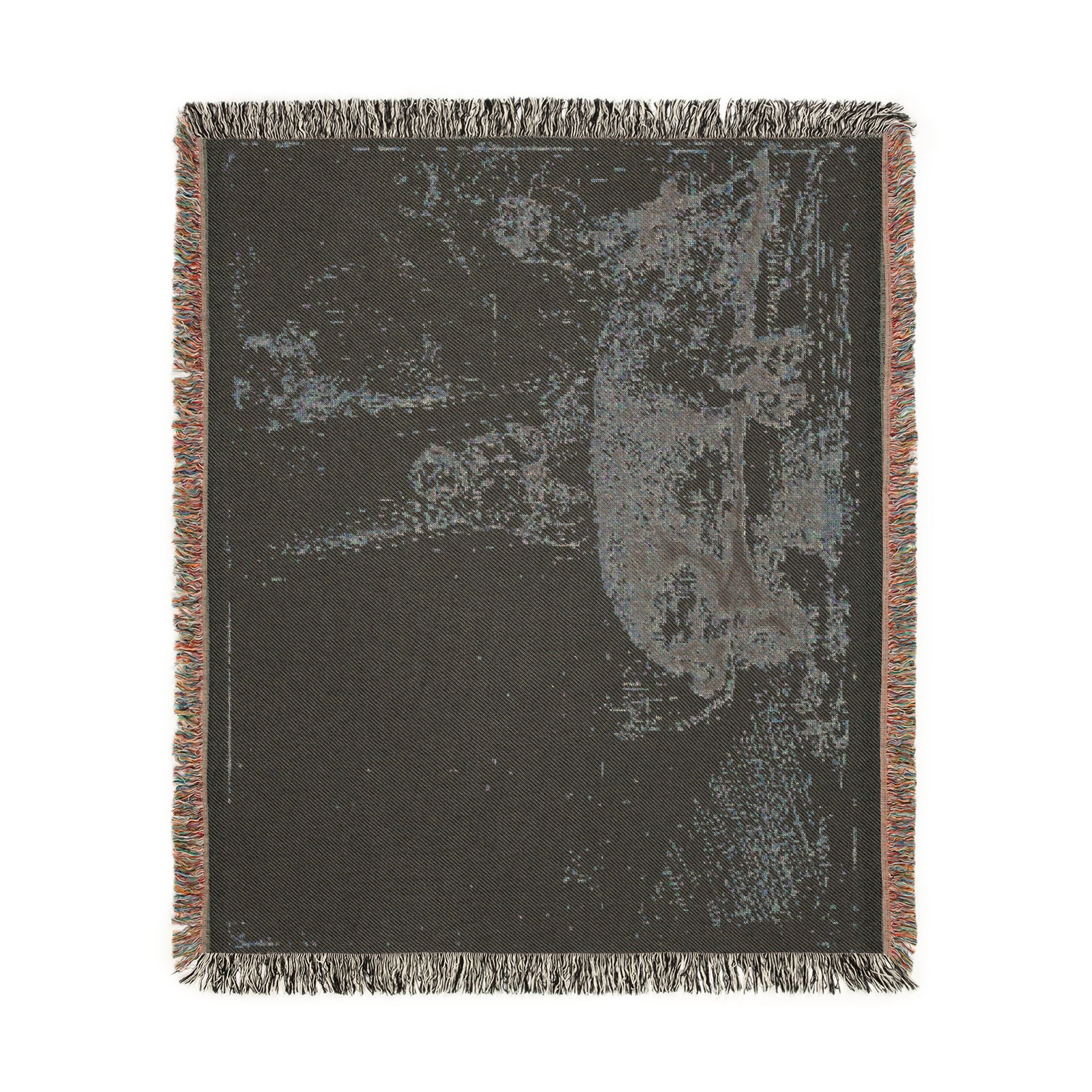 Rembrandt van Rijn - The Hog | Woven Tapestry Blanket