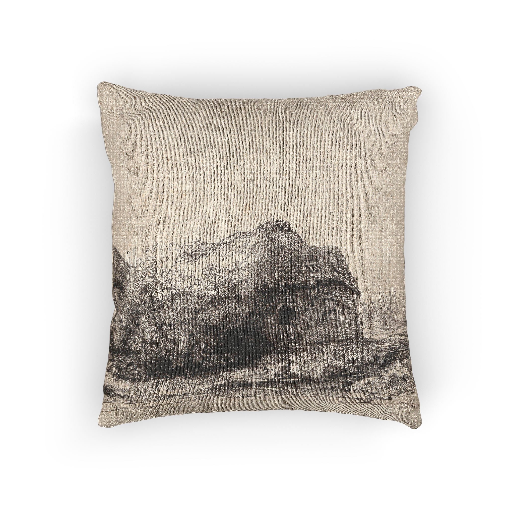 Rembrandt van Rijn - Landscape with Cottages and a Hay Barn Oblong | Woven Pillow