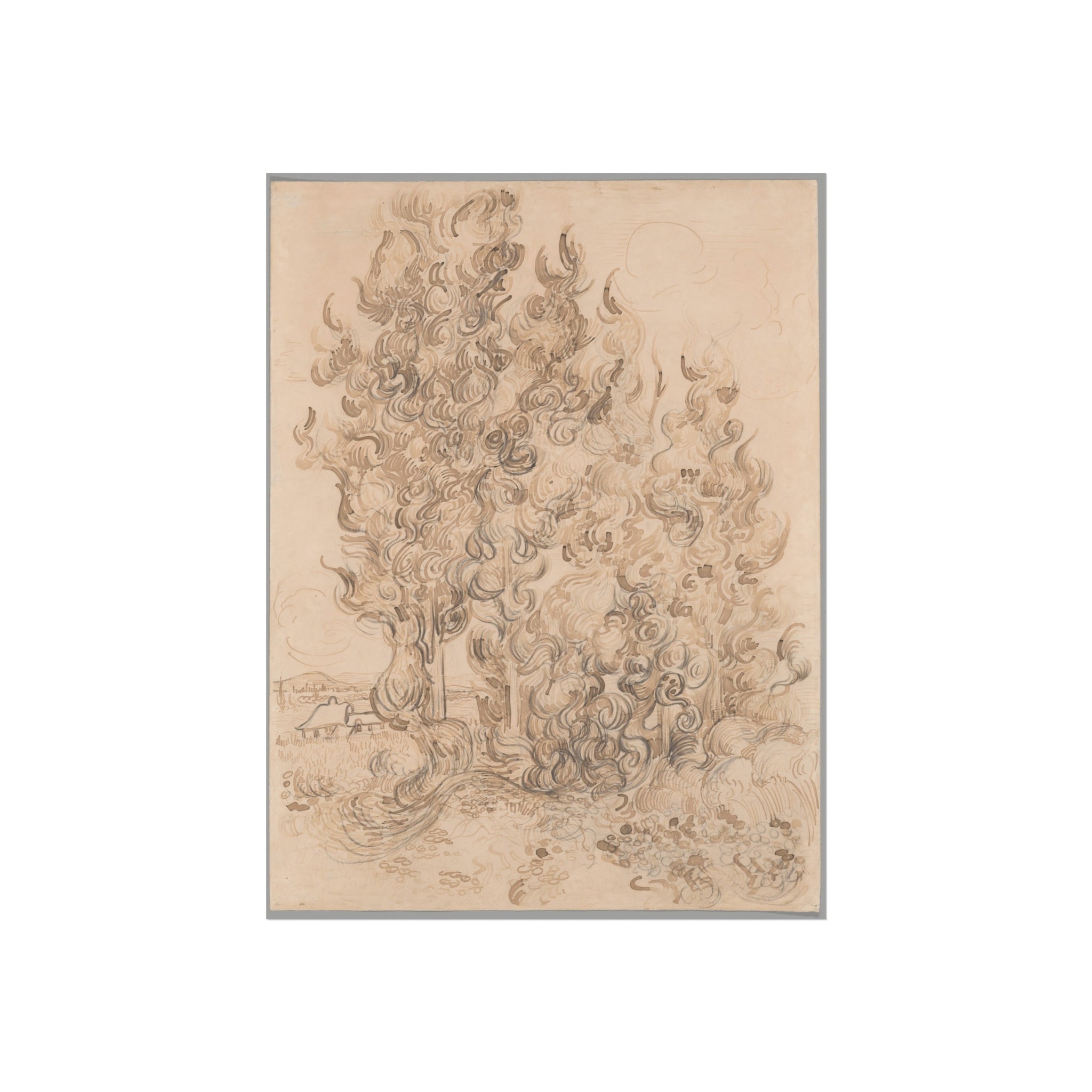 Vincent van Gogh - Cypresses | Fine Art Poster